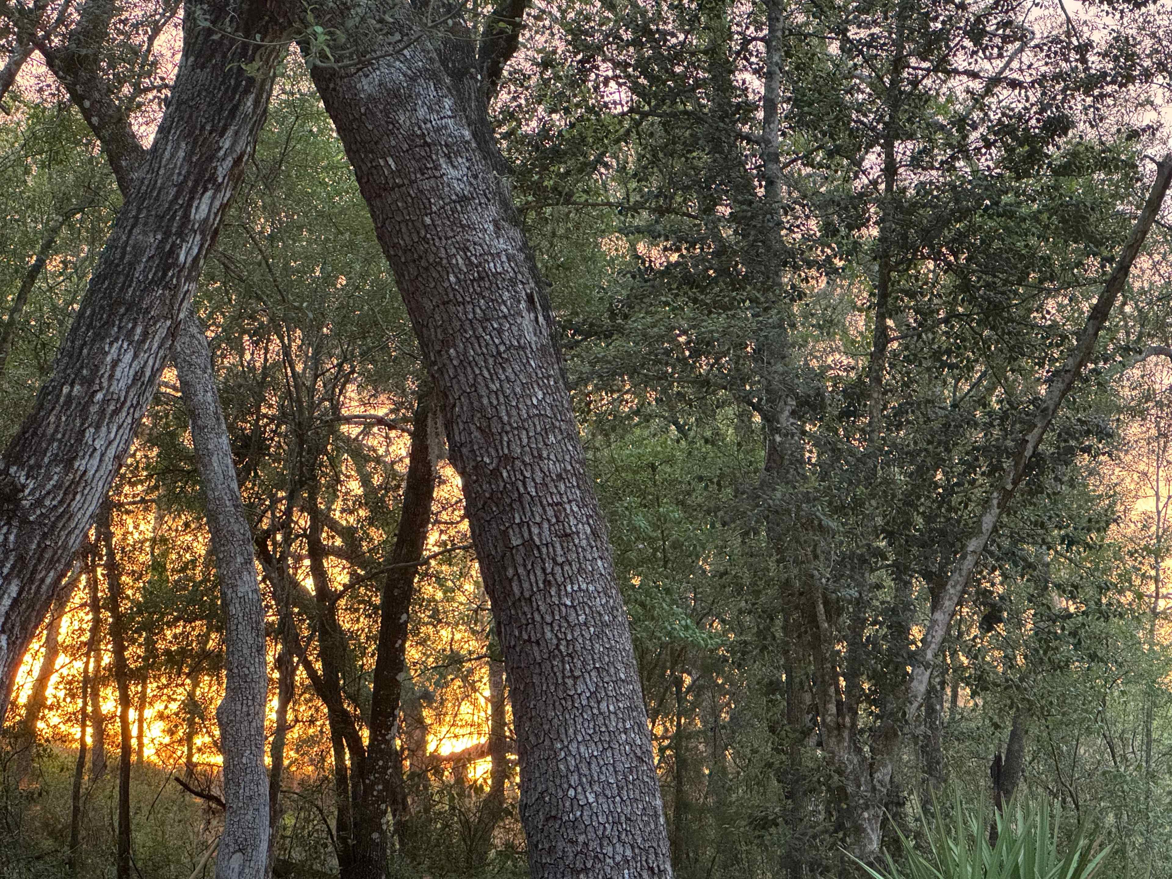 The Hatch Bend Hideaway RV Place