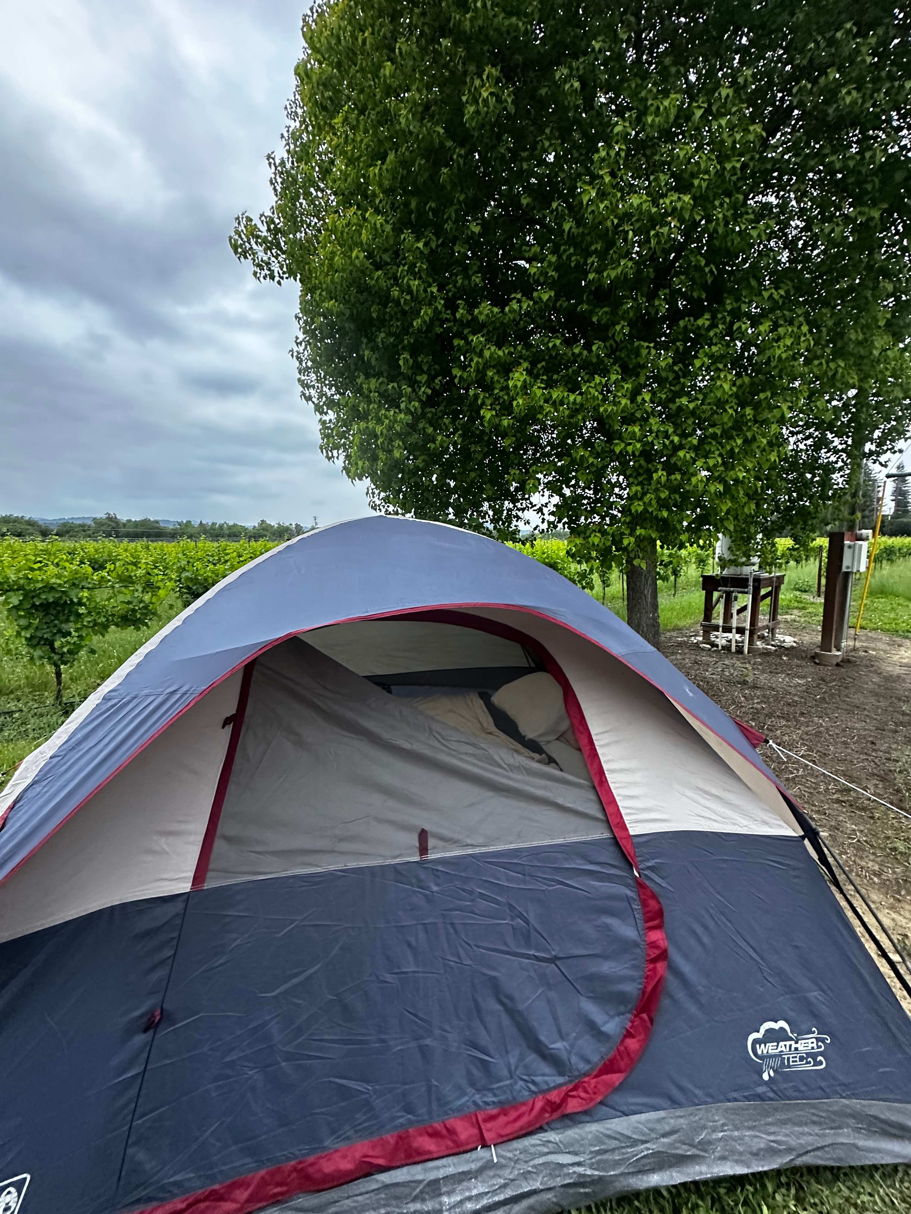 Barn Side - Site 3 -91C