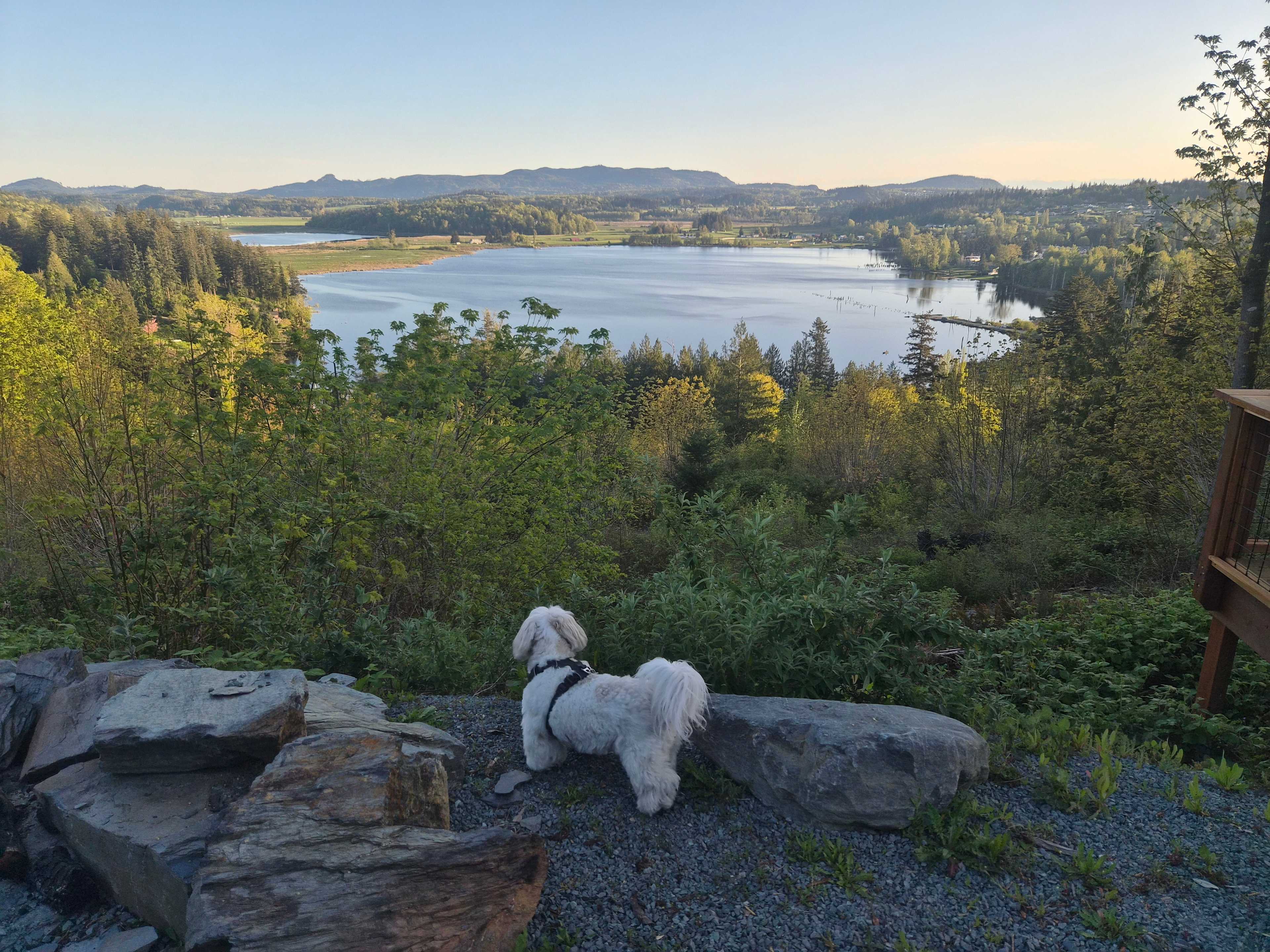 Patrick Swayzee's best IG photo at the Lookout 
