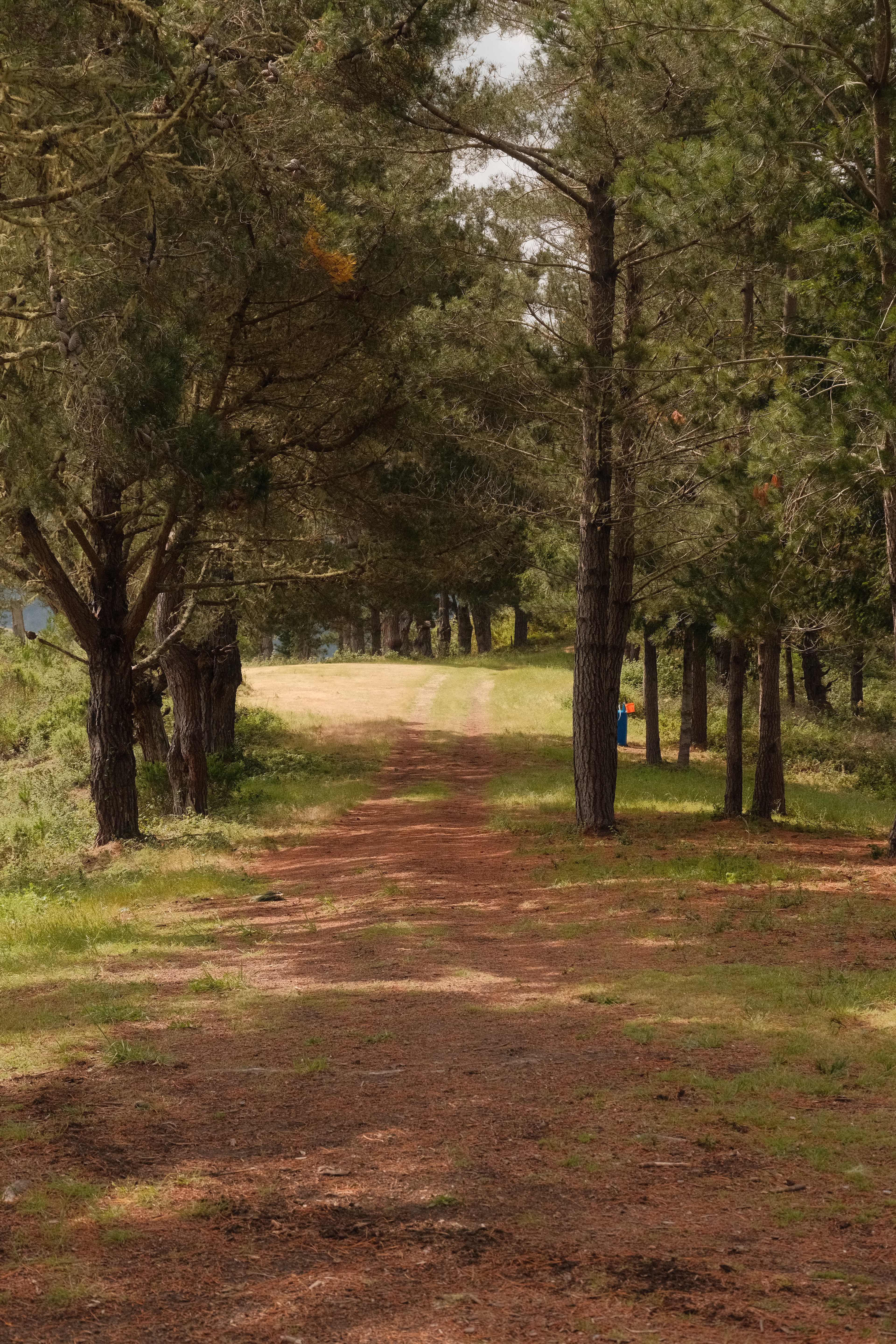 Bear Gulch Hide Out