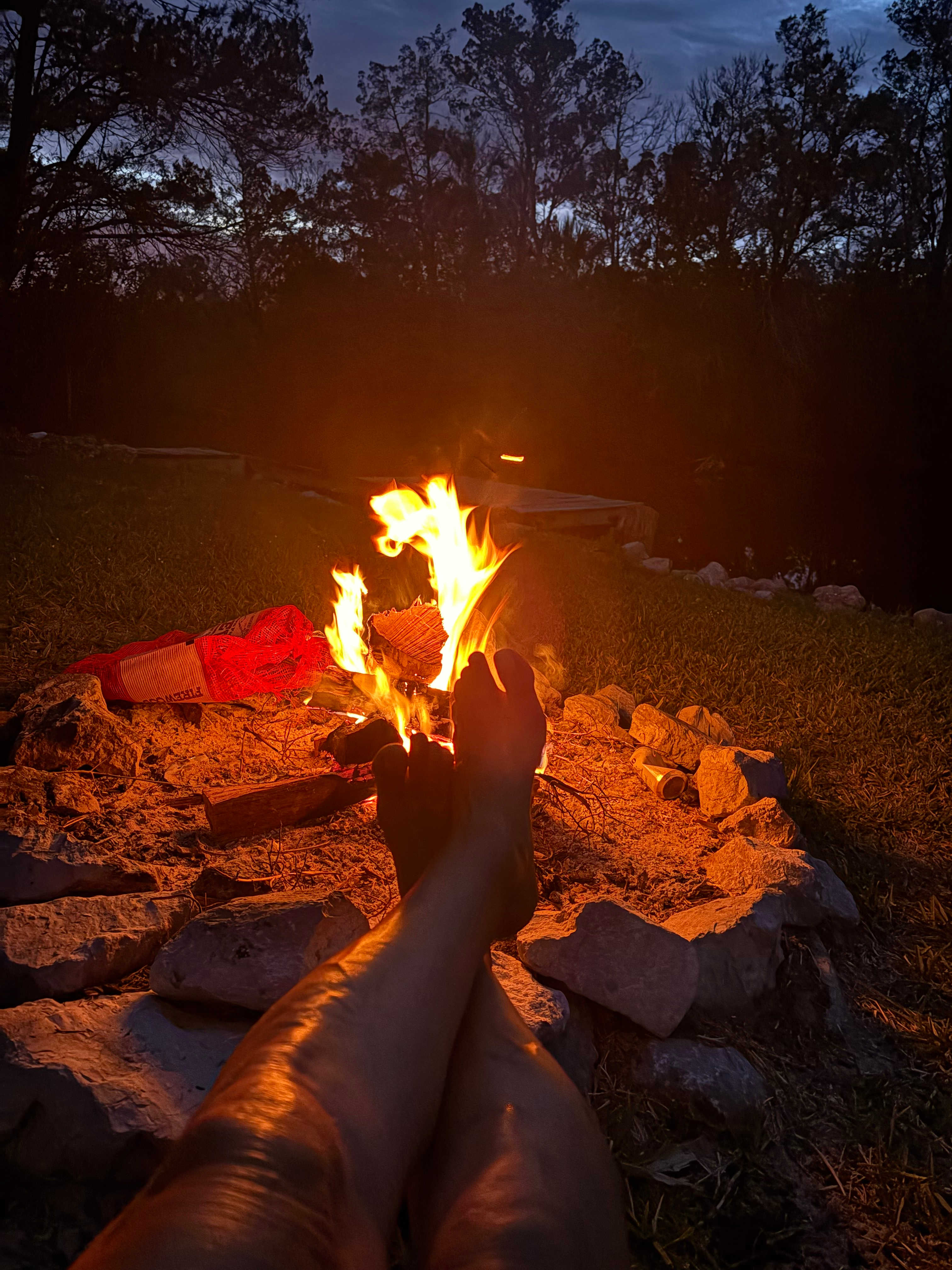 Homosassa River Escape