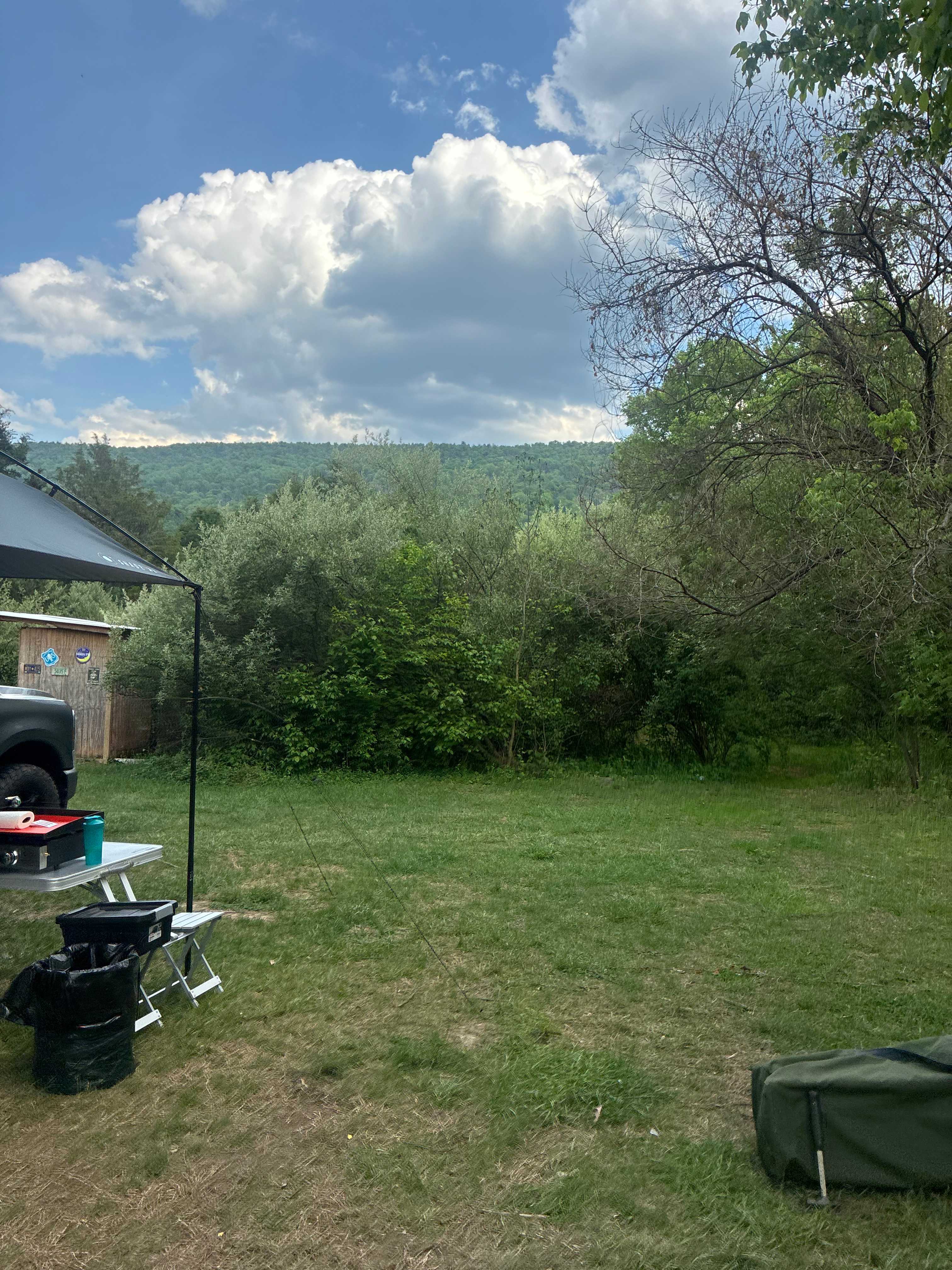 Wineberry Grove