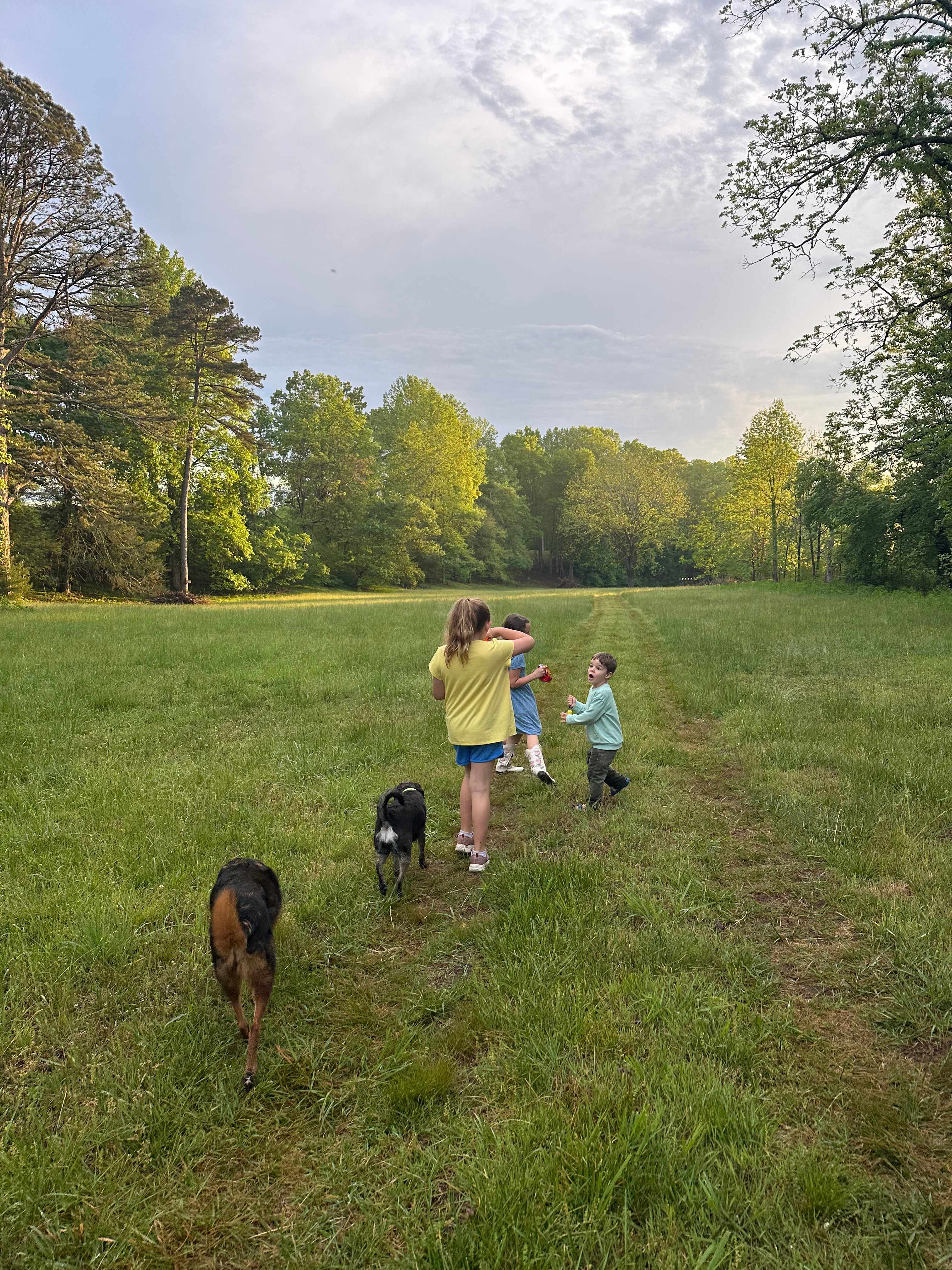Walnut Springs Estate: Off-grid