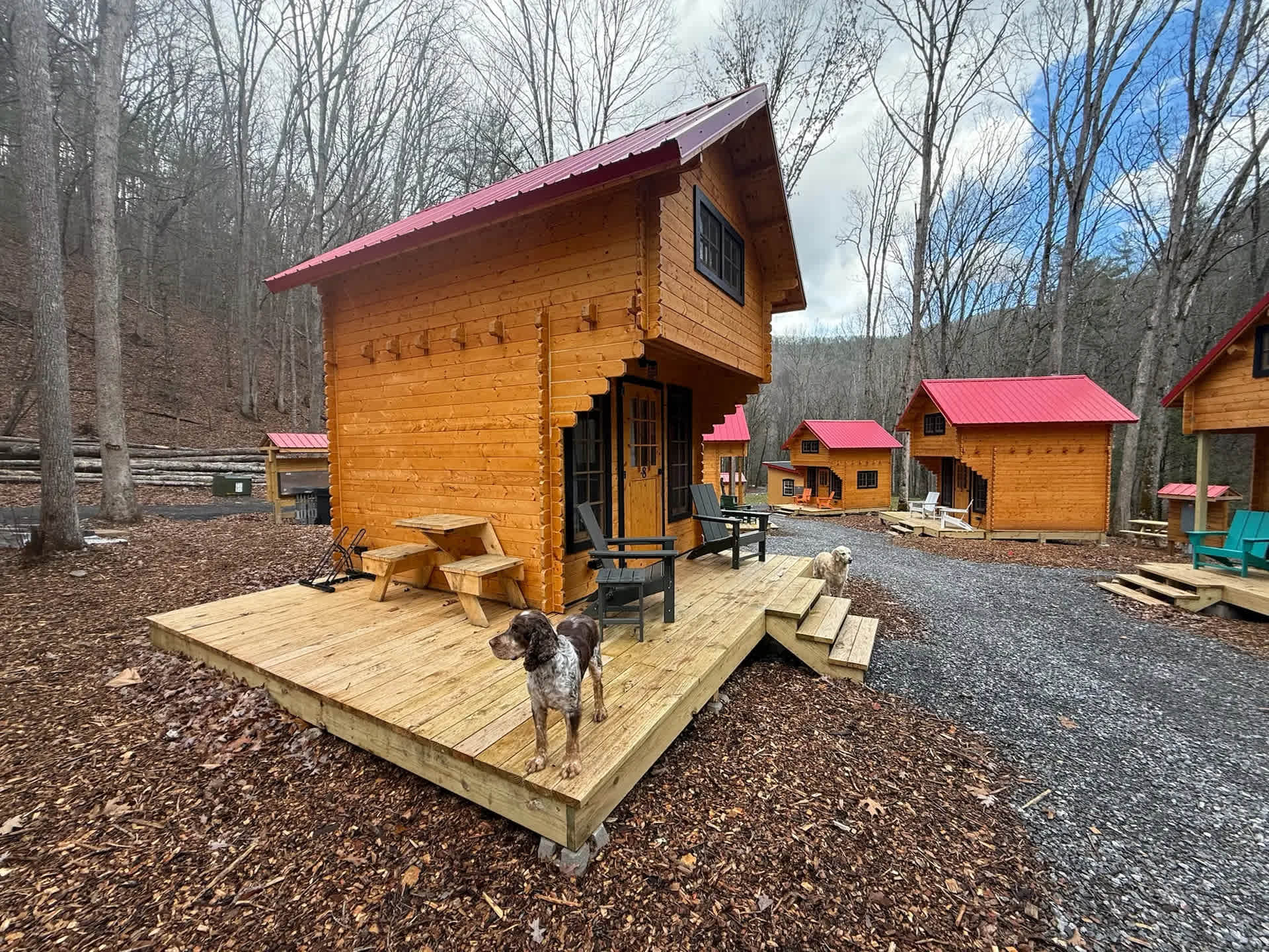 Picture of the site