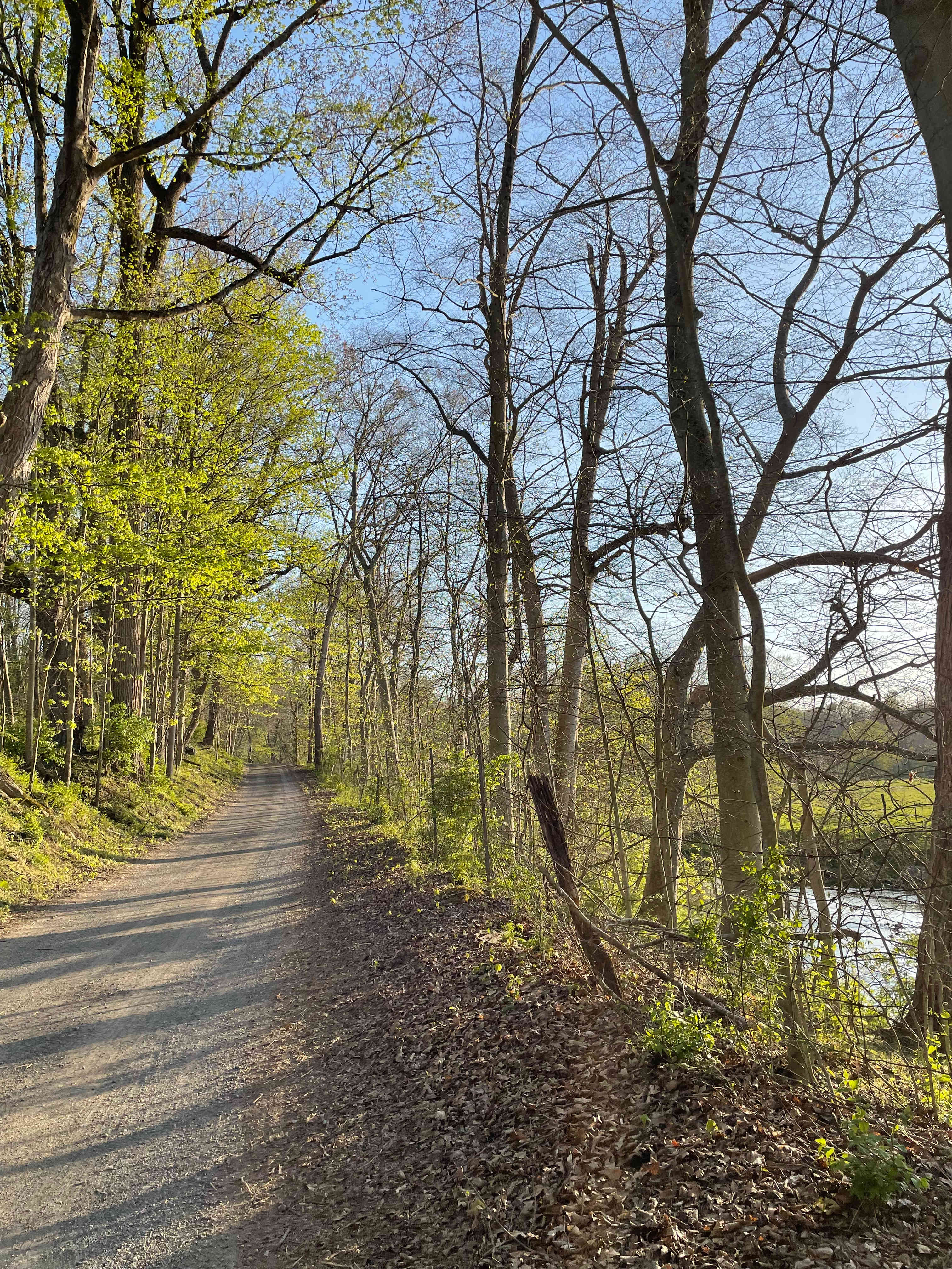 our short walk from parking spot to the chapel.