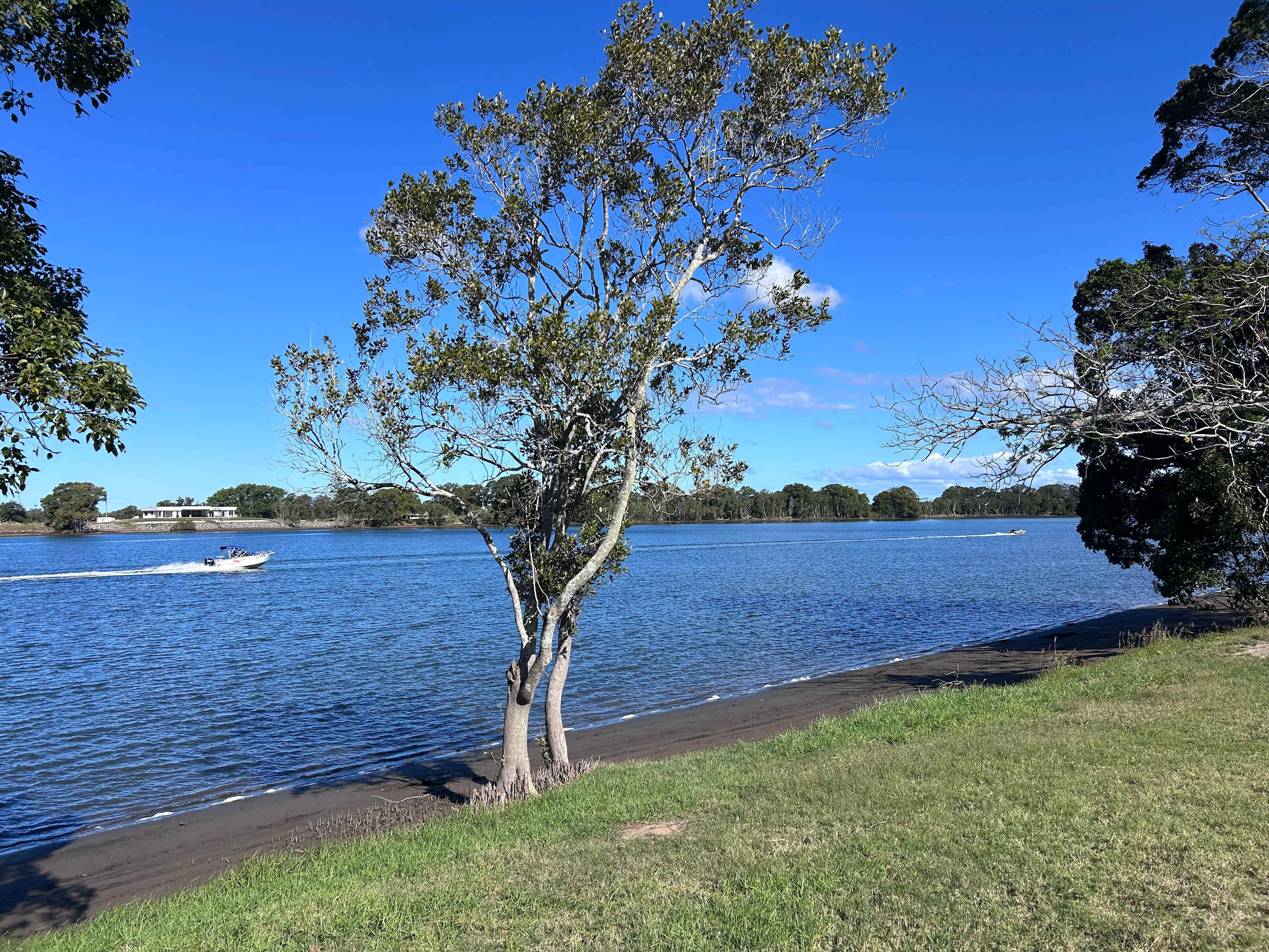 Manning River Waterfront Camping