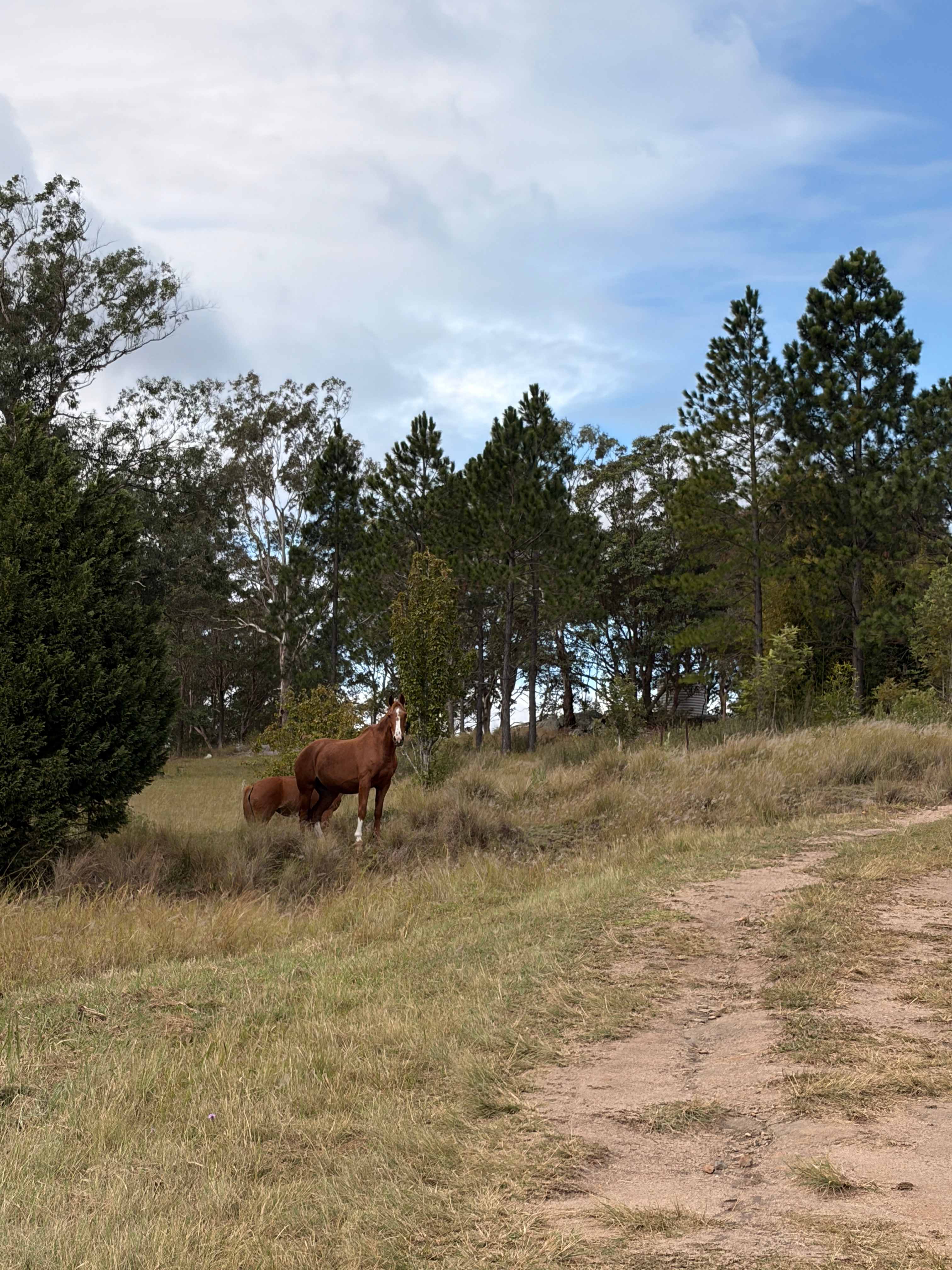 Hilltop Farm, Camping and Glamping.