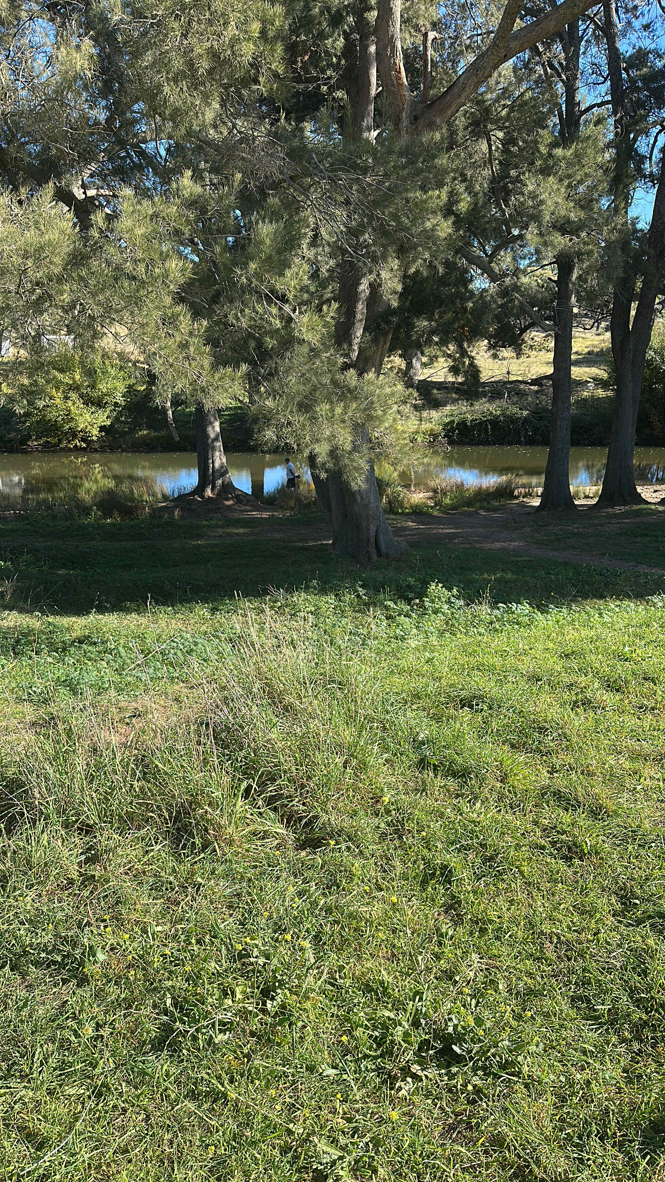 Riveroak Farm