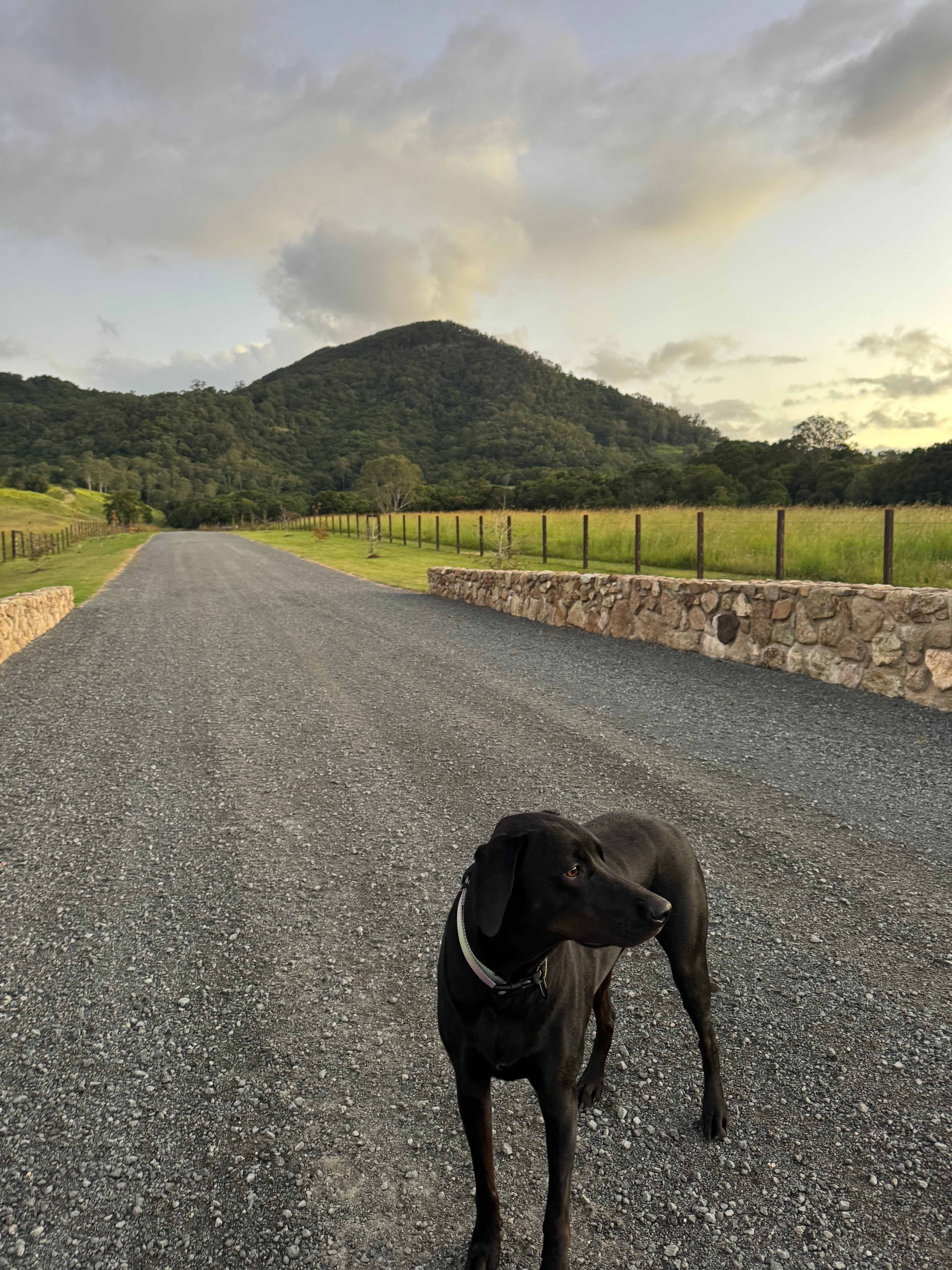 Eerwah Vale Estate Noosa