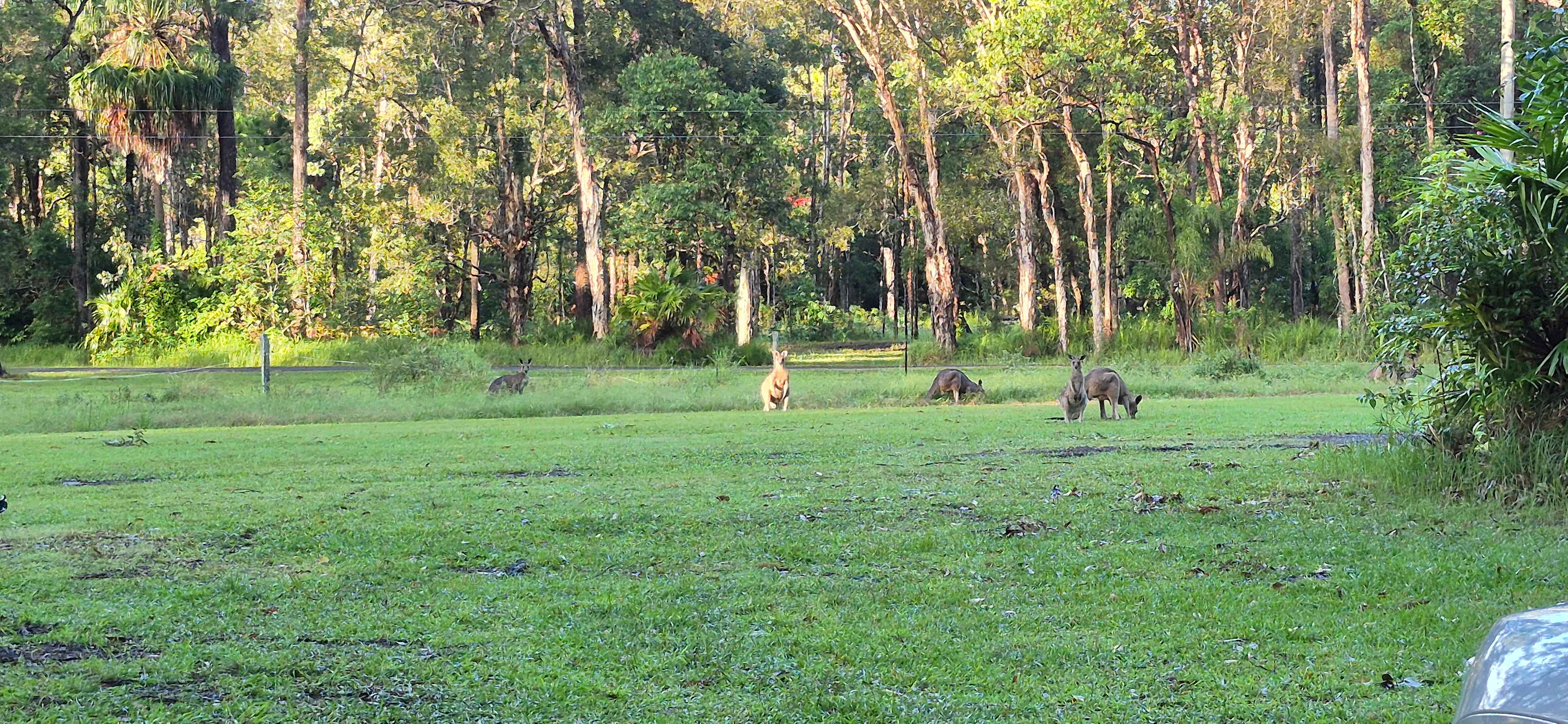 Aussie Camp