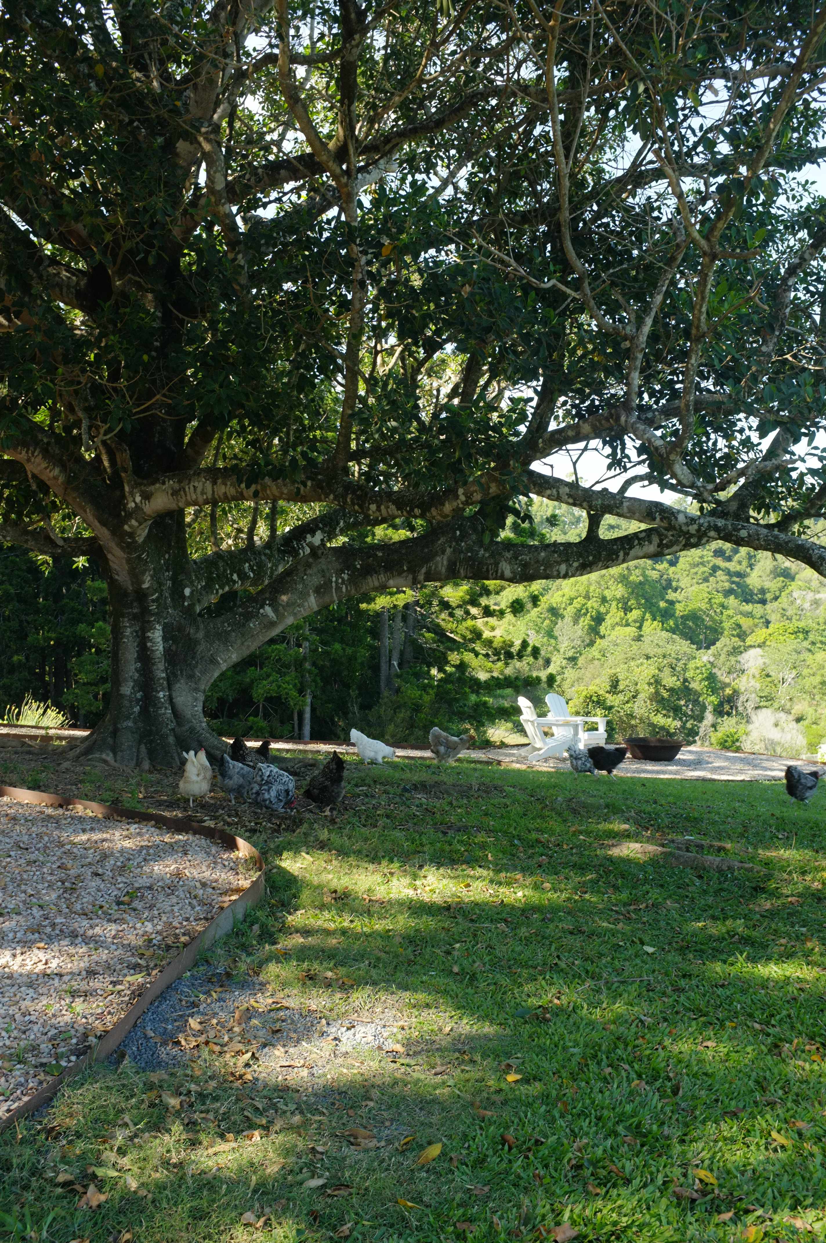 Tranquilvalleynoosa