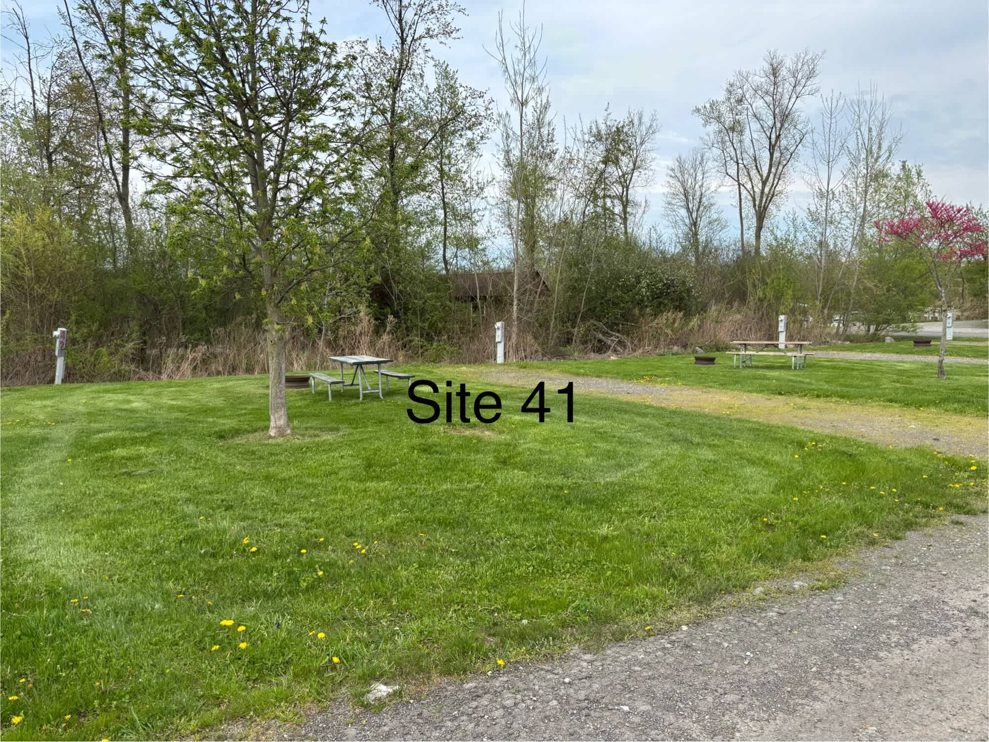 Picture of the site