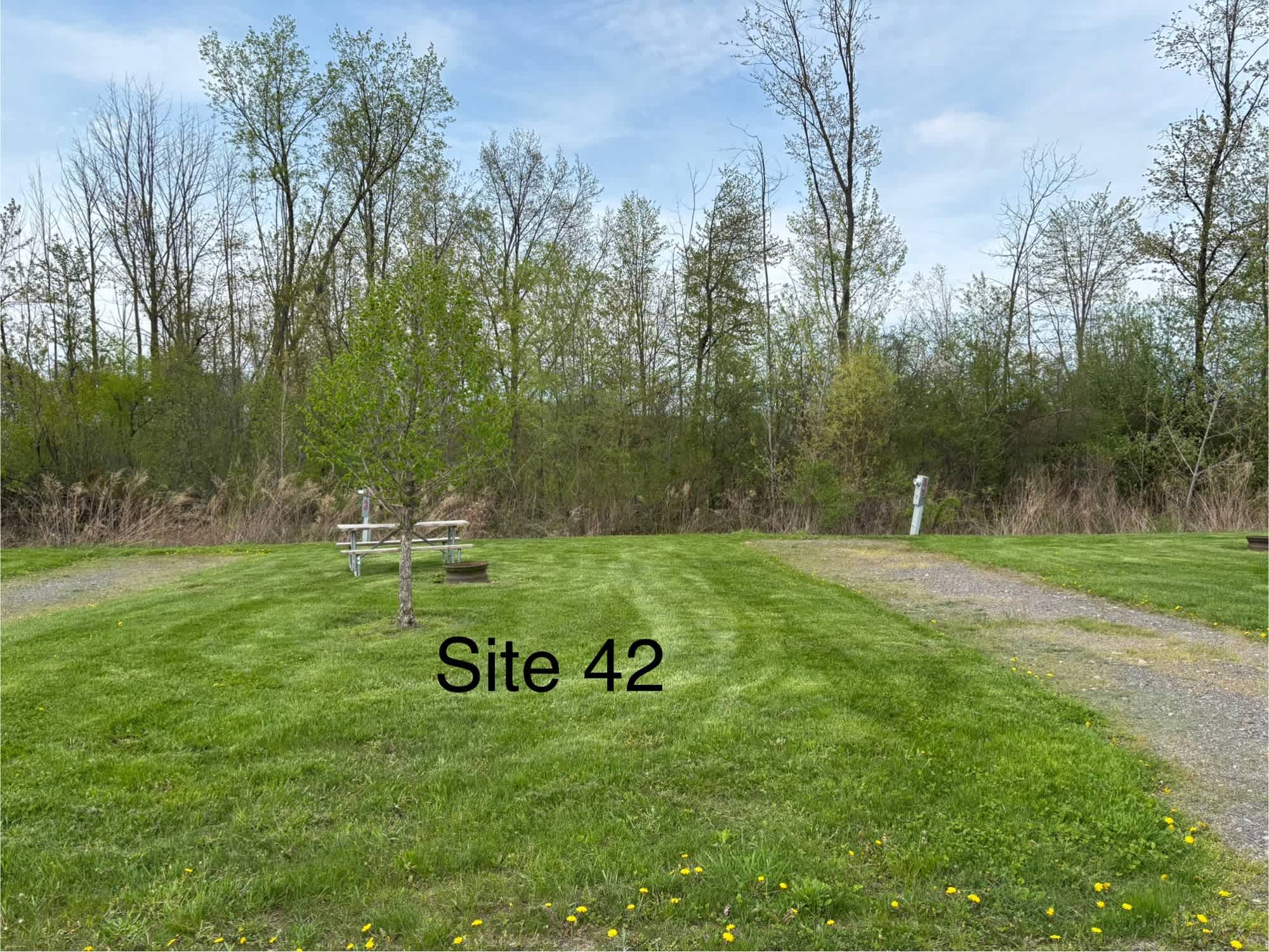 Picture of the site