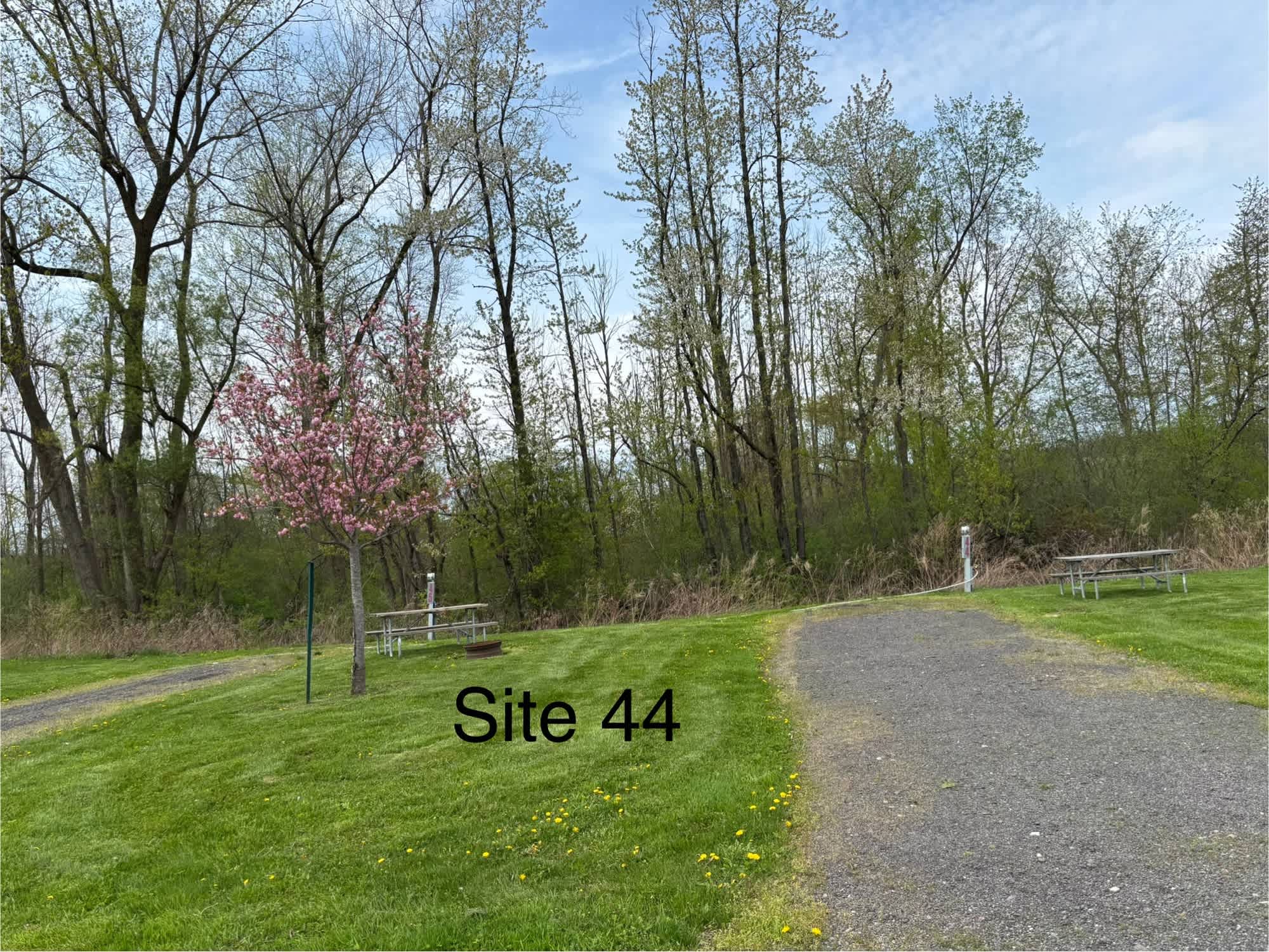 Picture of the site