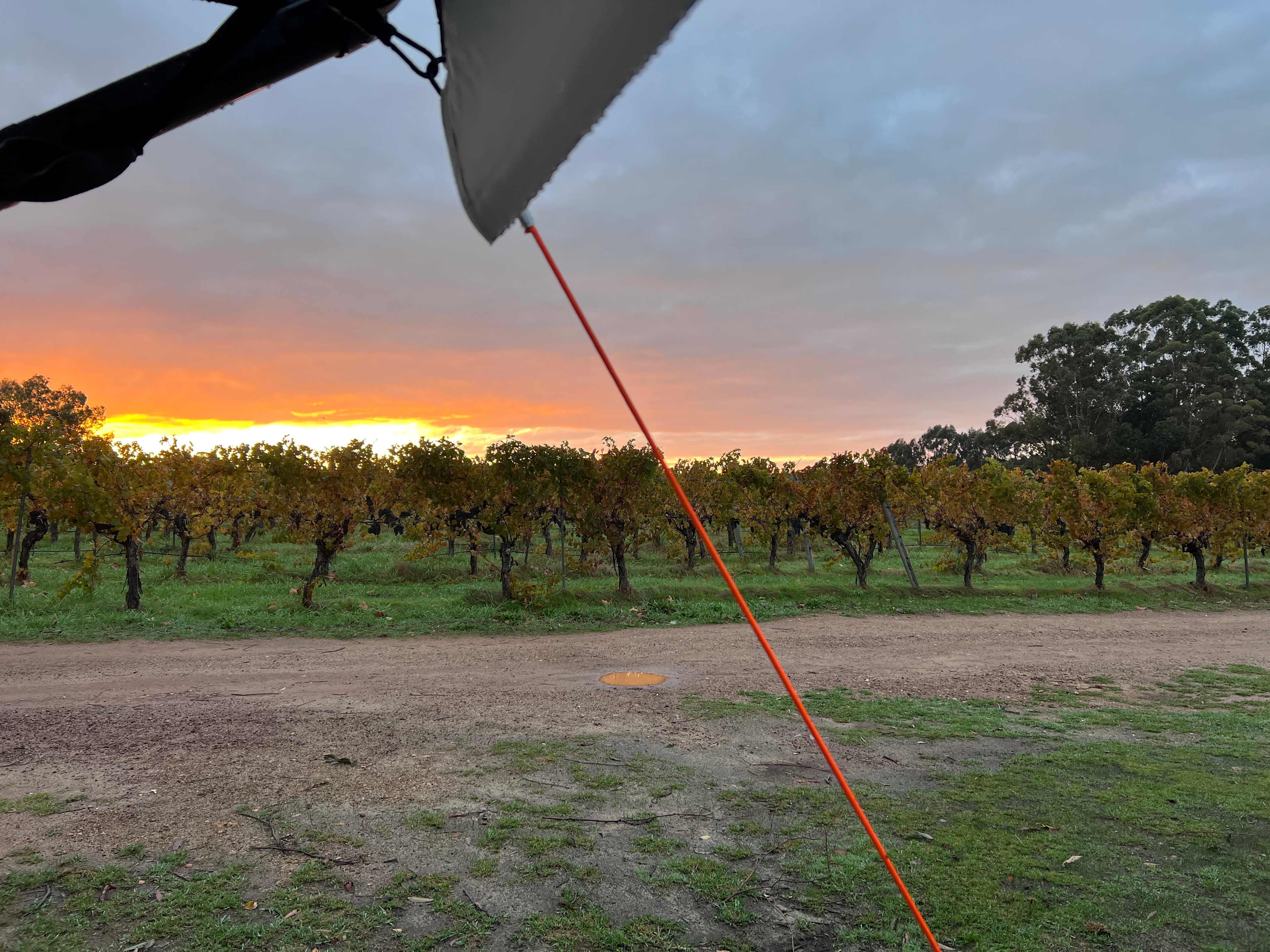 Jarvis Estate Winery & Camping