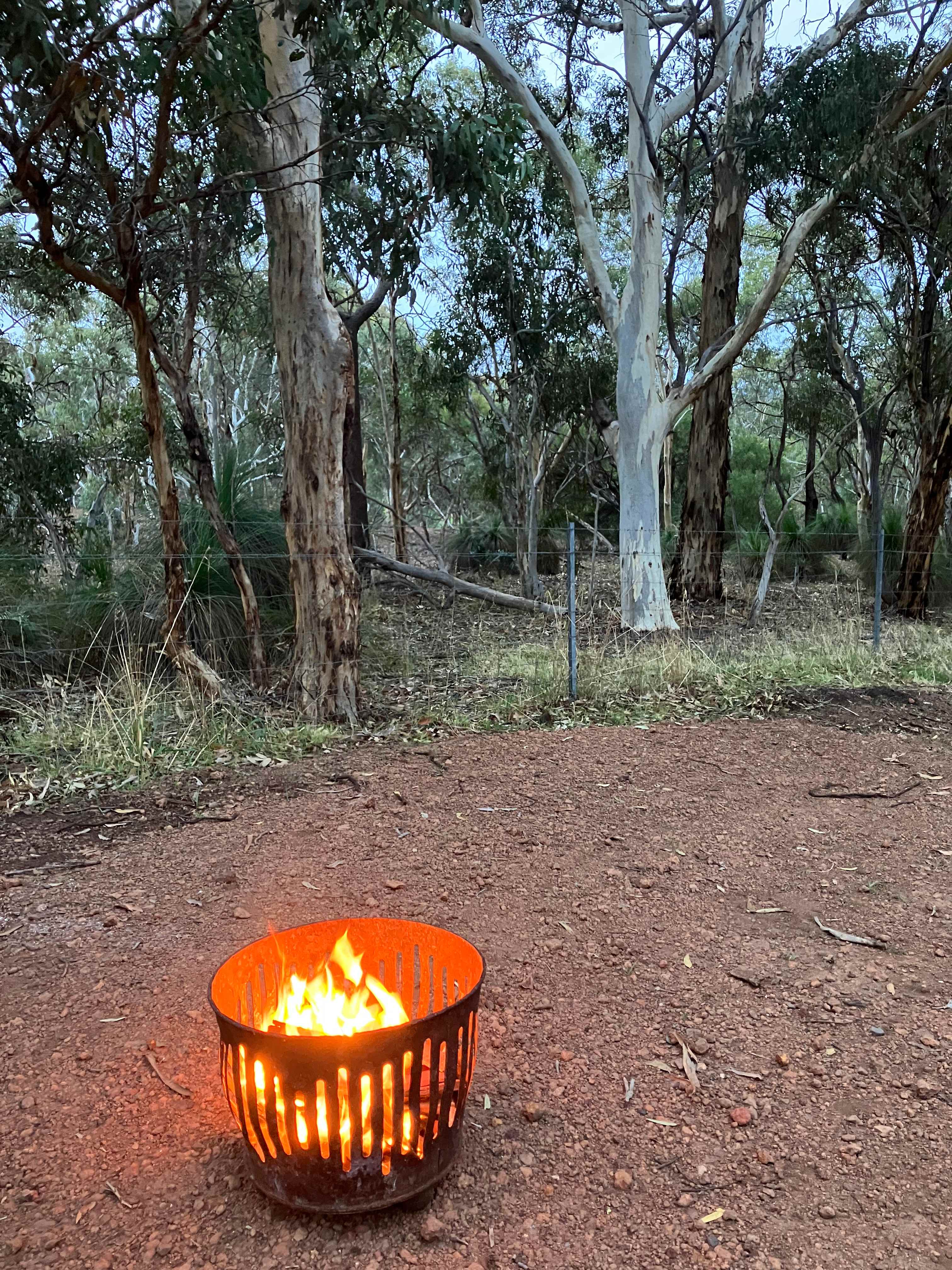 Hosts provide option to buy bundle of timber for campfire in season 