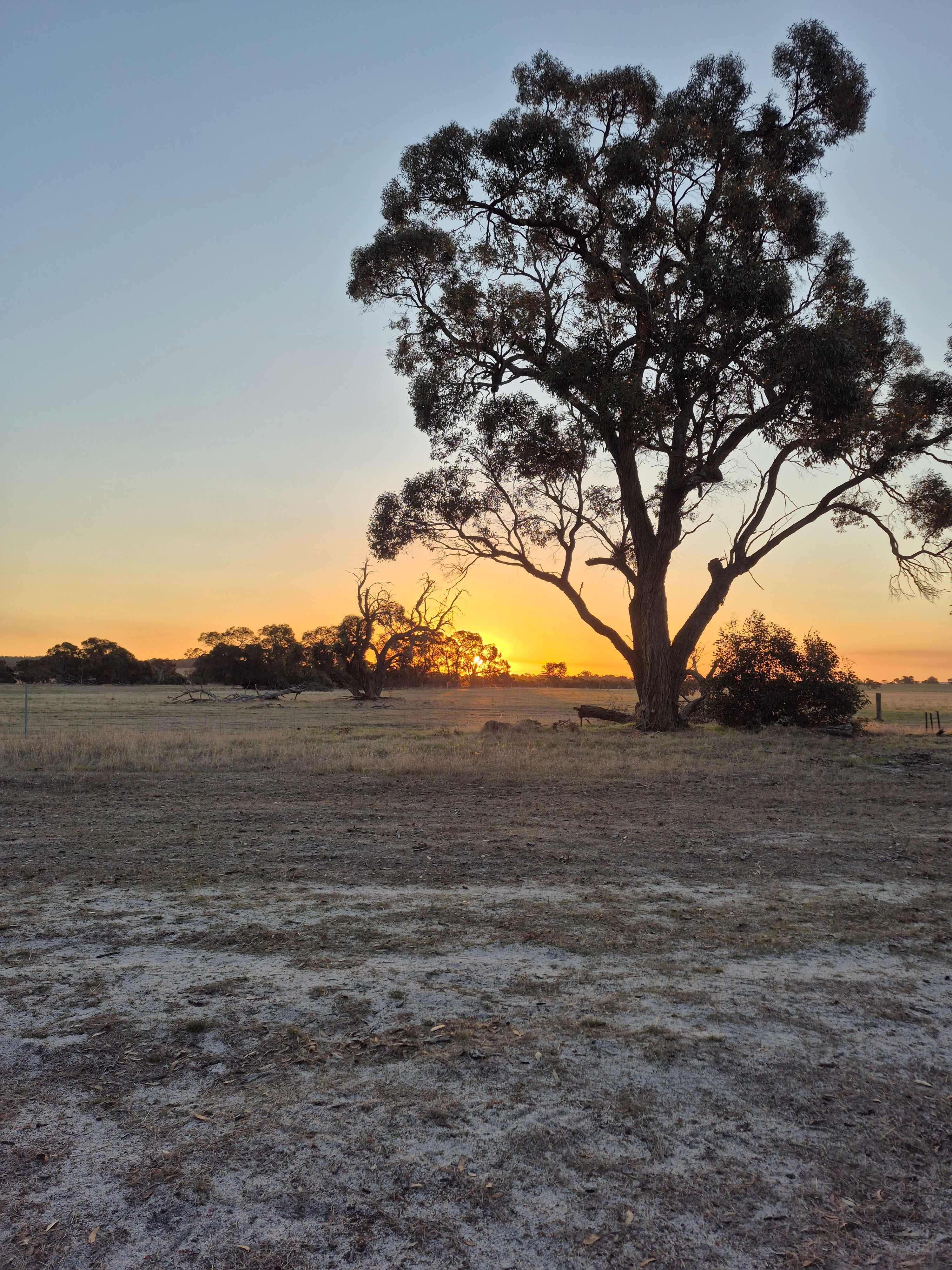 Wongin Mia Cranbrook Hideaway