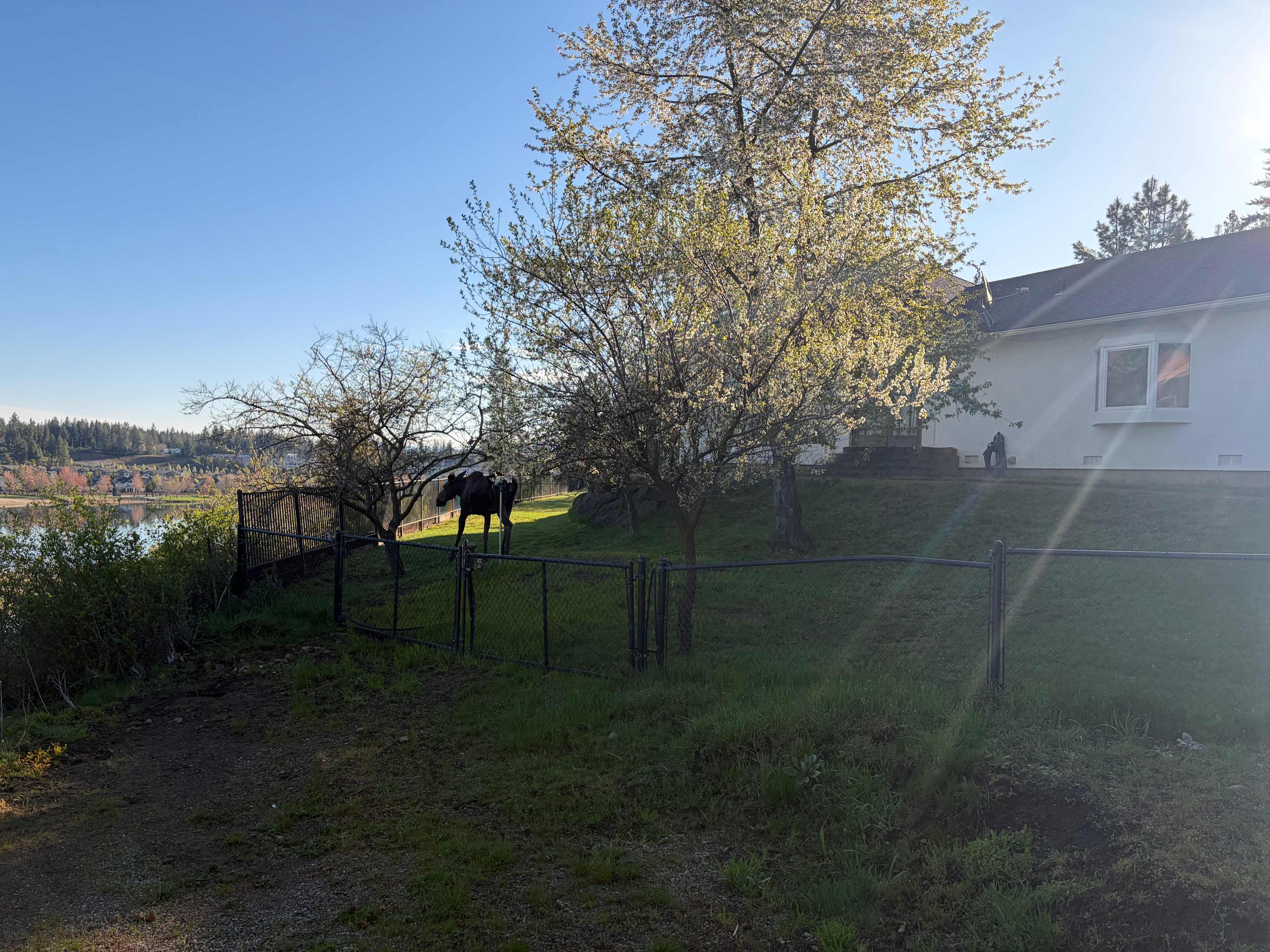 Riverview Woodland Retreat - CDA