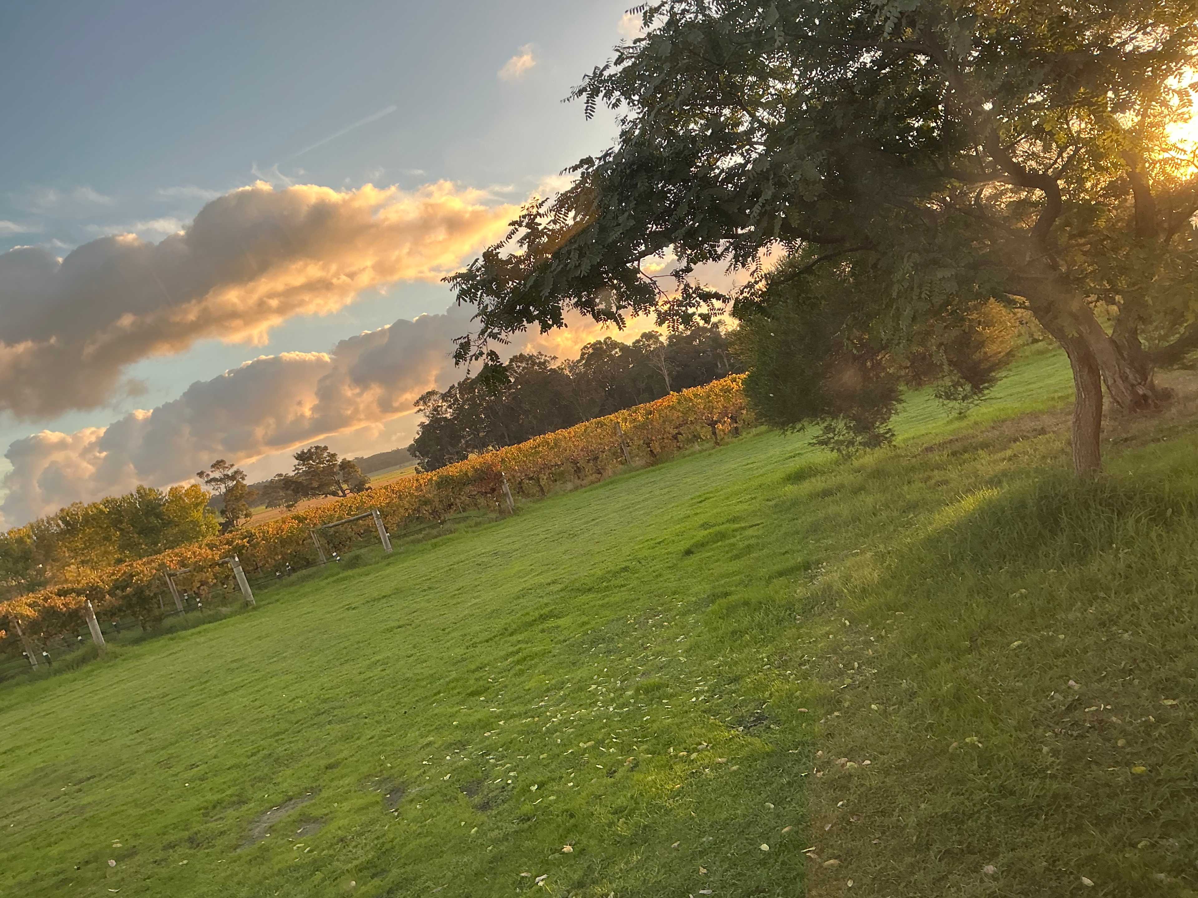 View from camper