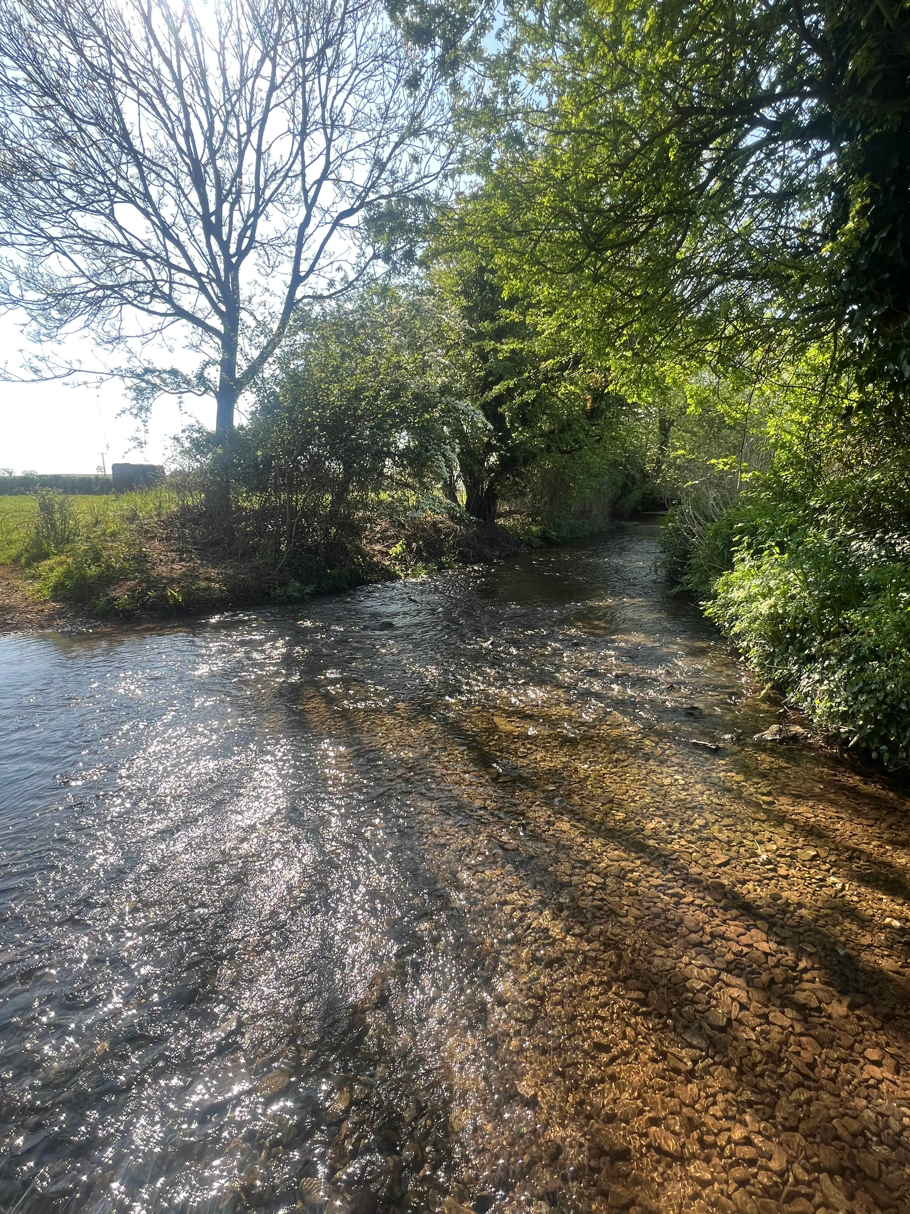 Wookey Farm