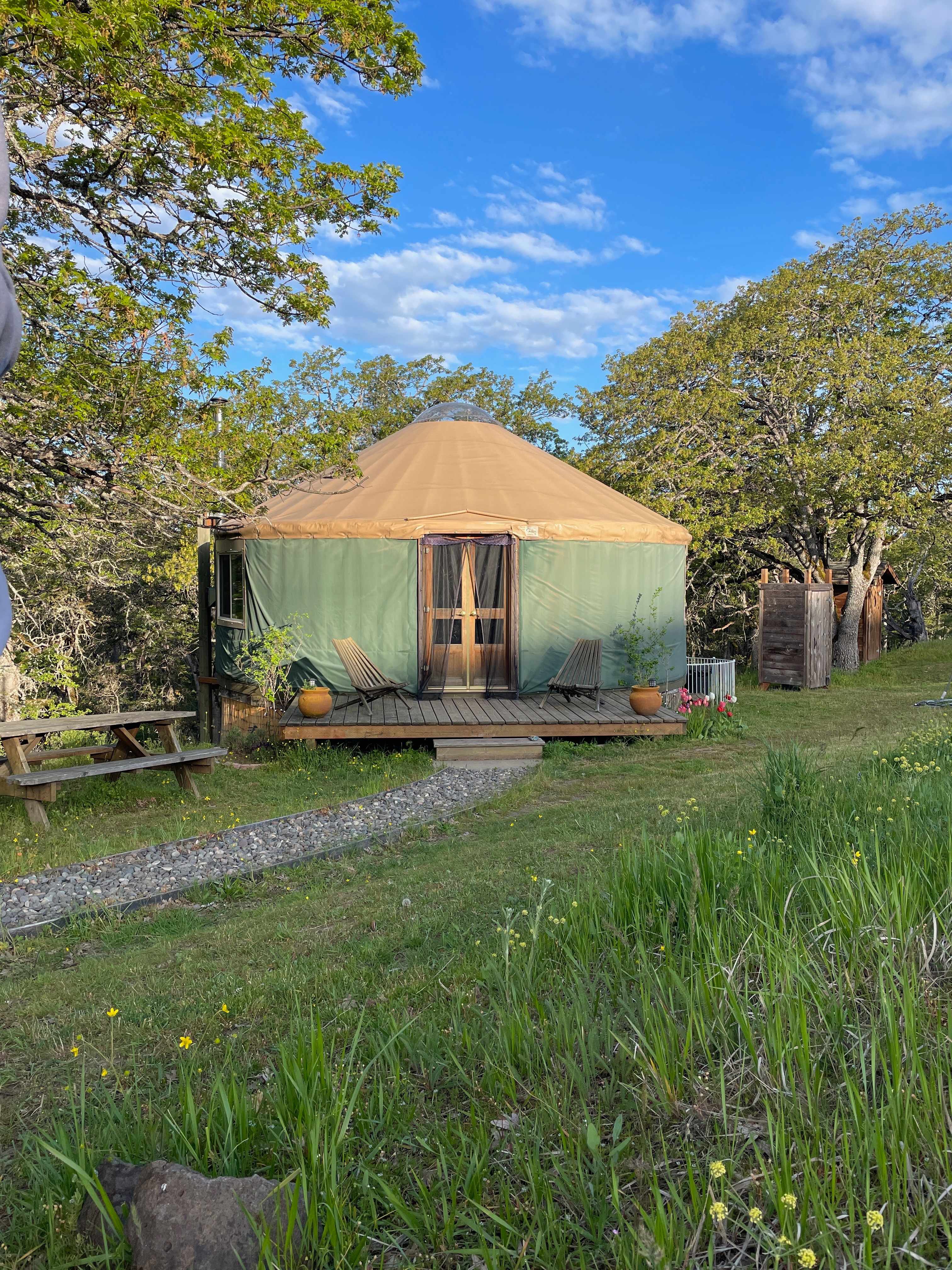 Morning at the yurt