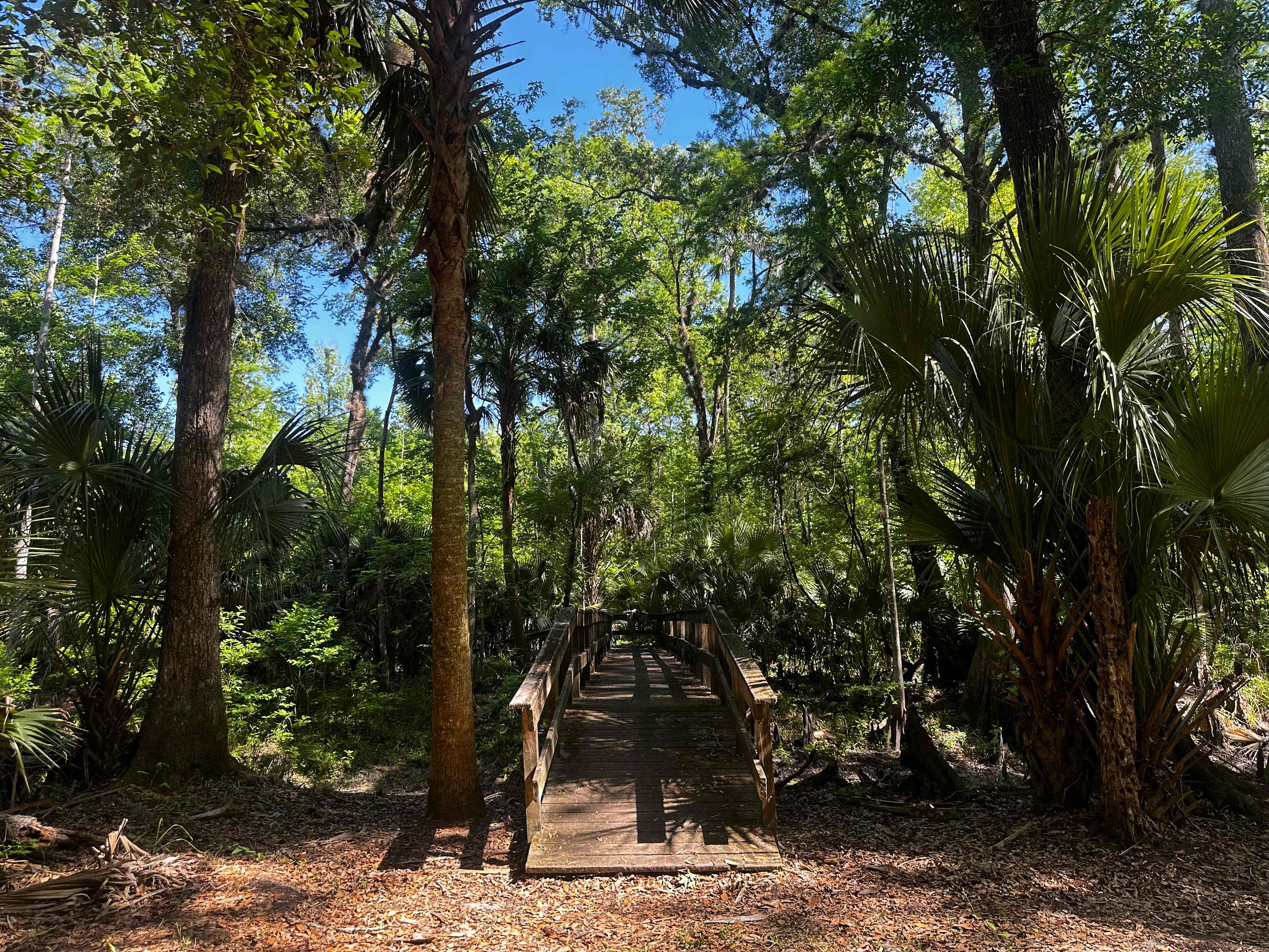 Camp Seminole Springs
