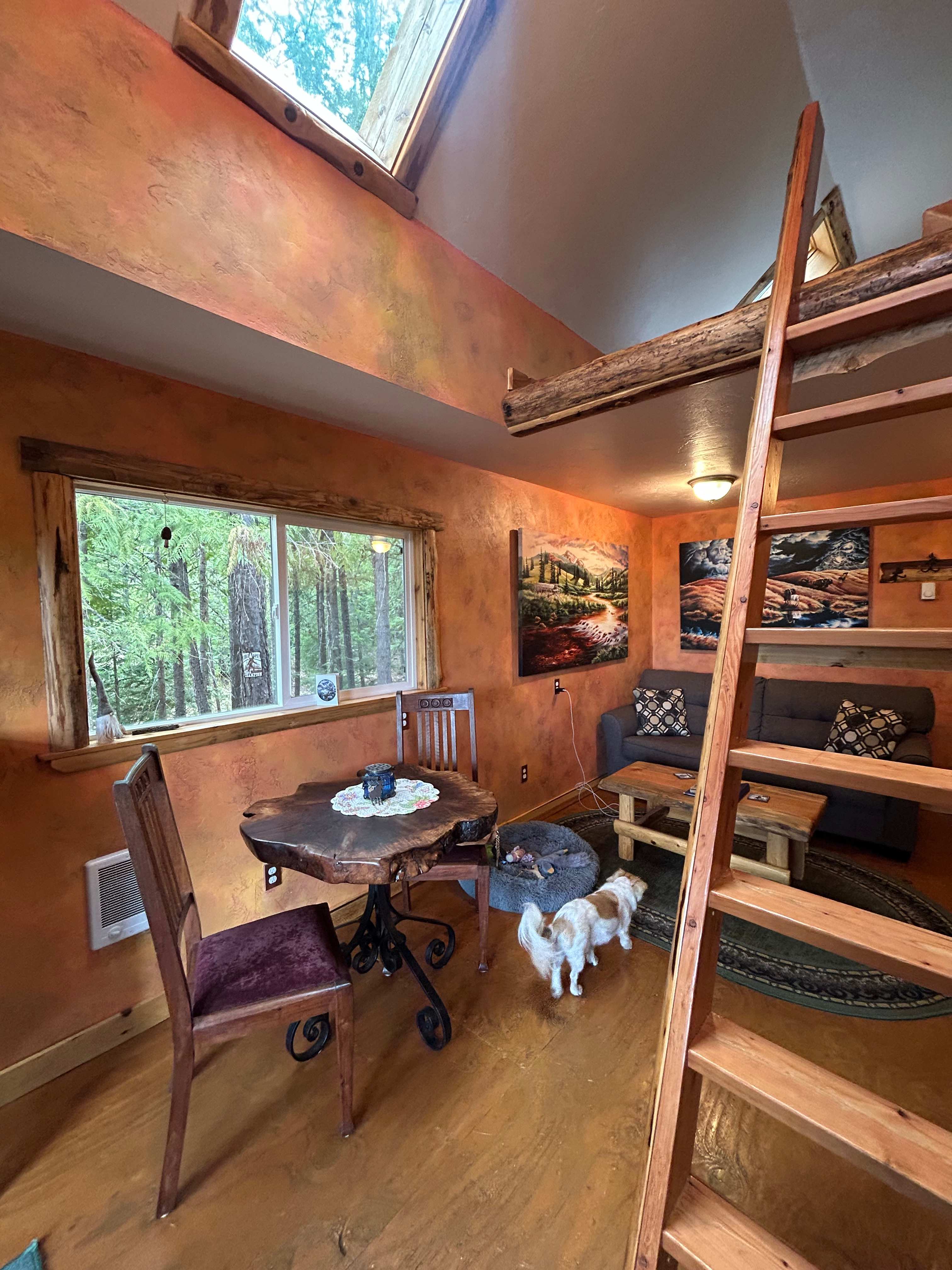 Phoenix Rising Ranch