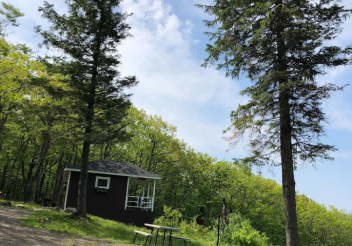 Picture of the site