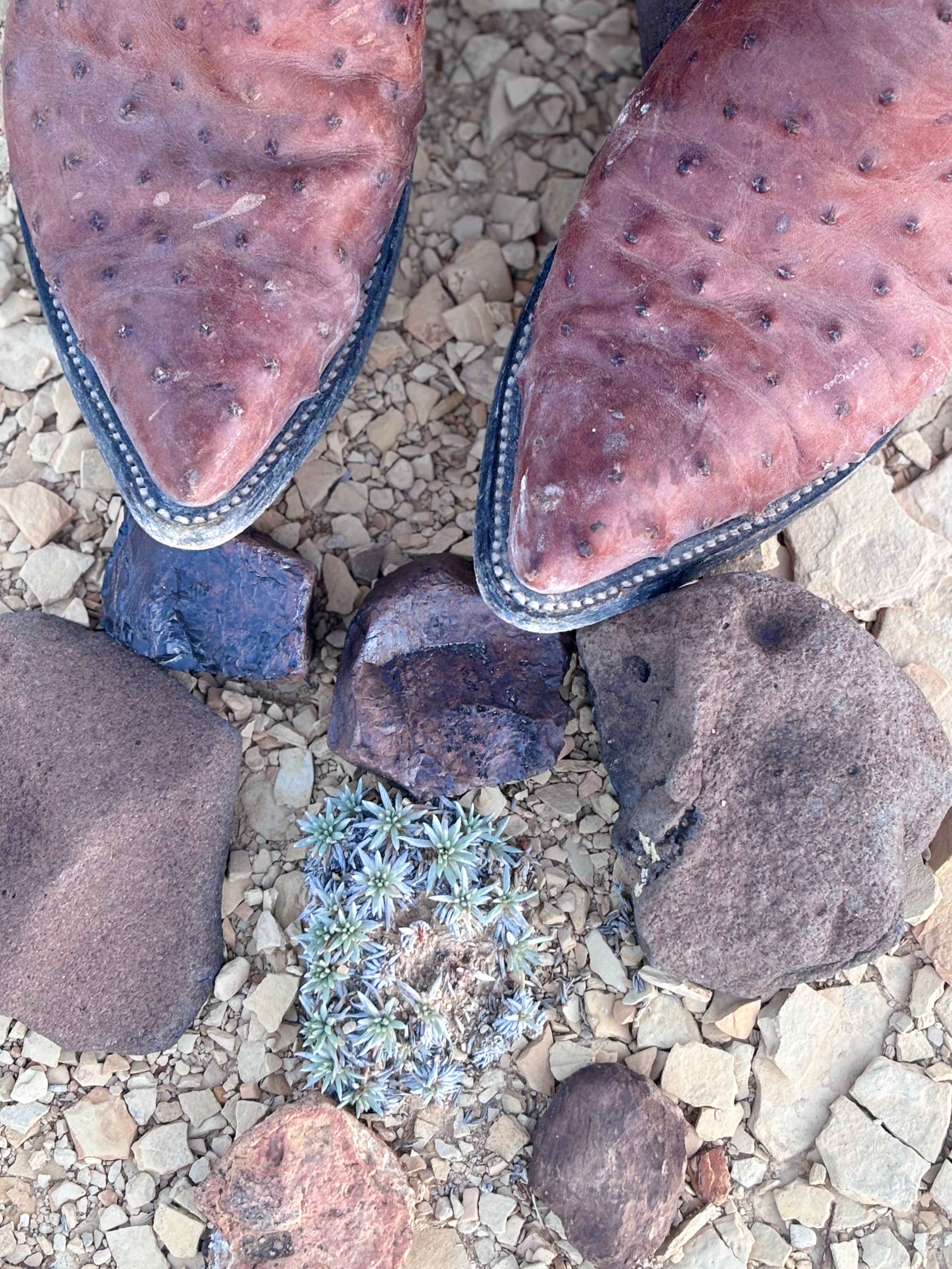 Moonwalker Ranch Camping Terlingua