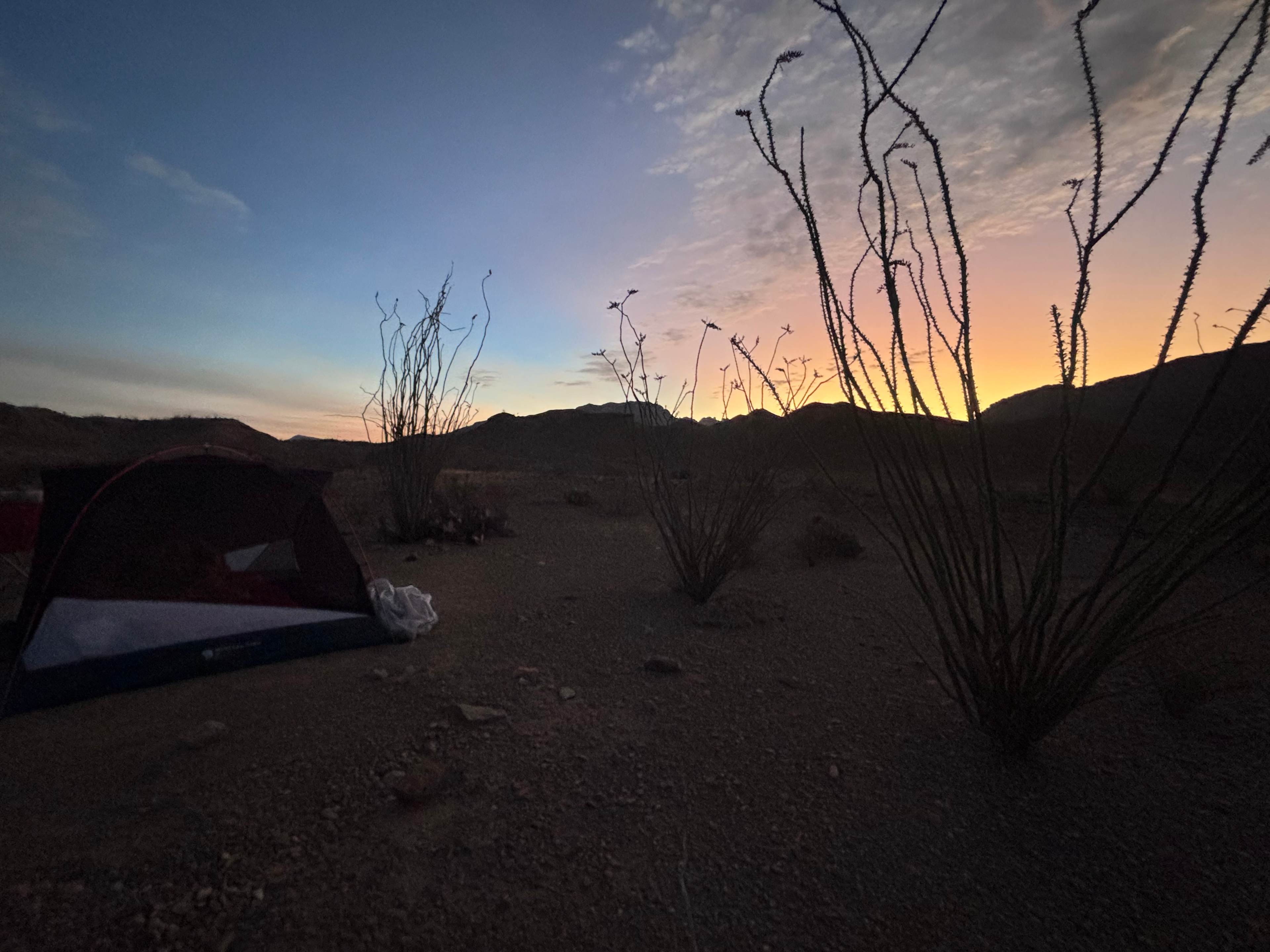 Rancho de los Arboles Muertos