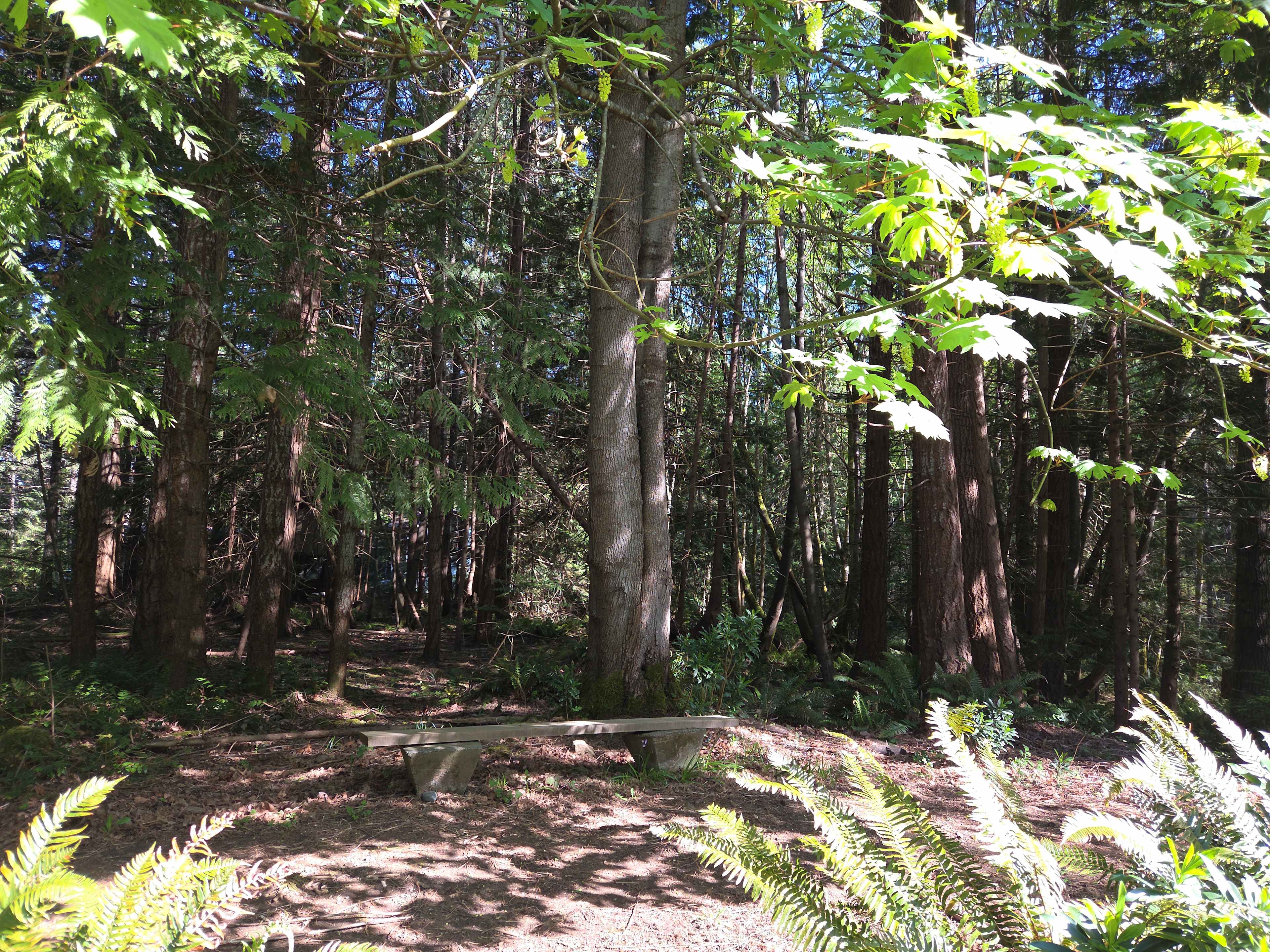 Decourcy Meadows