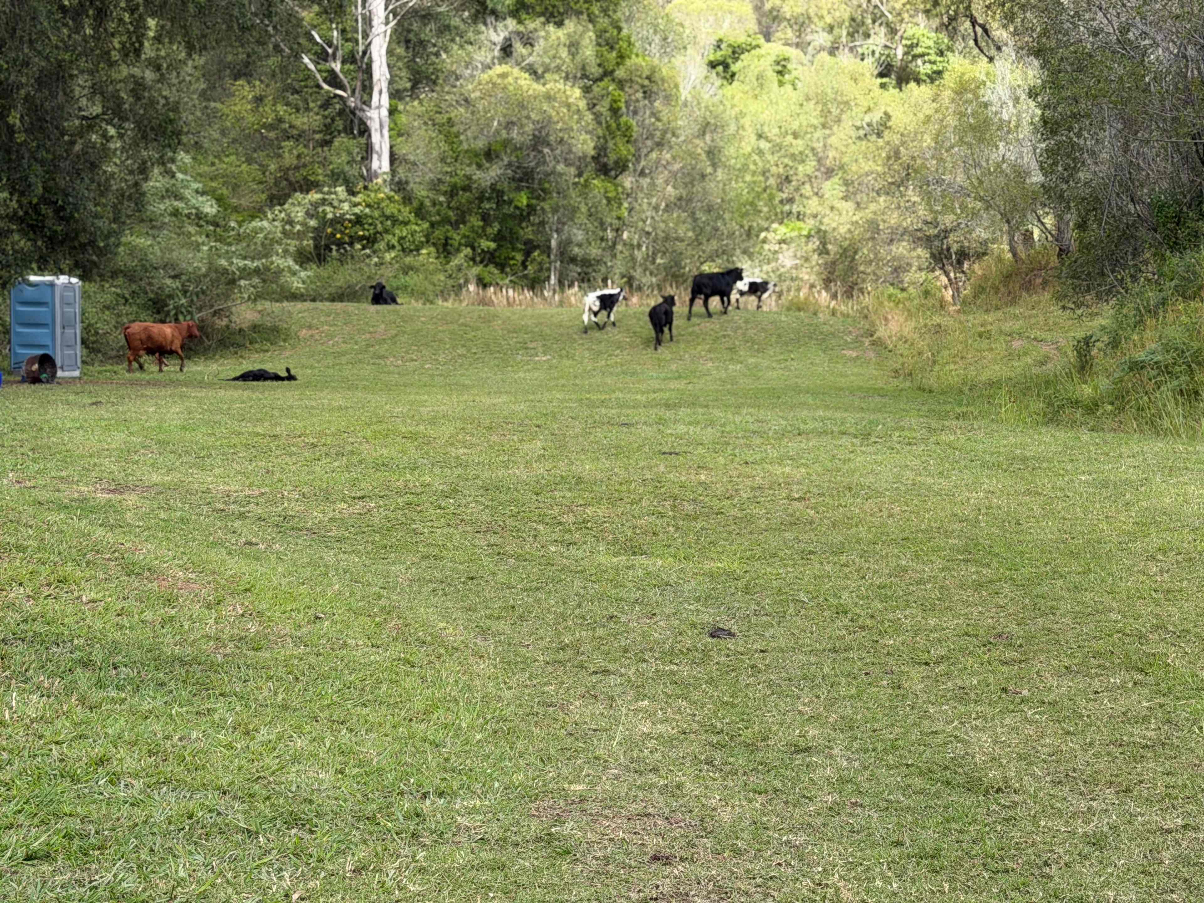 Sandycreek Homestead