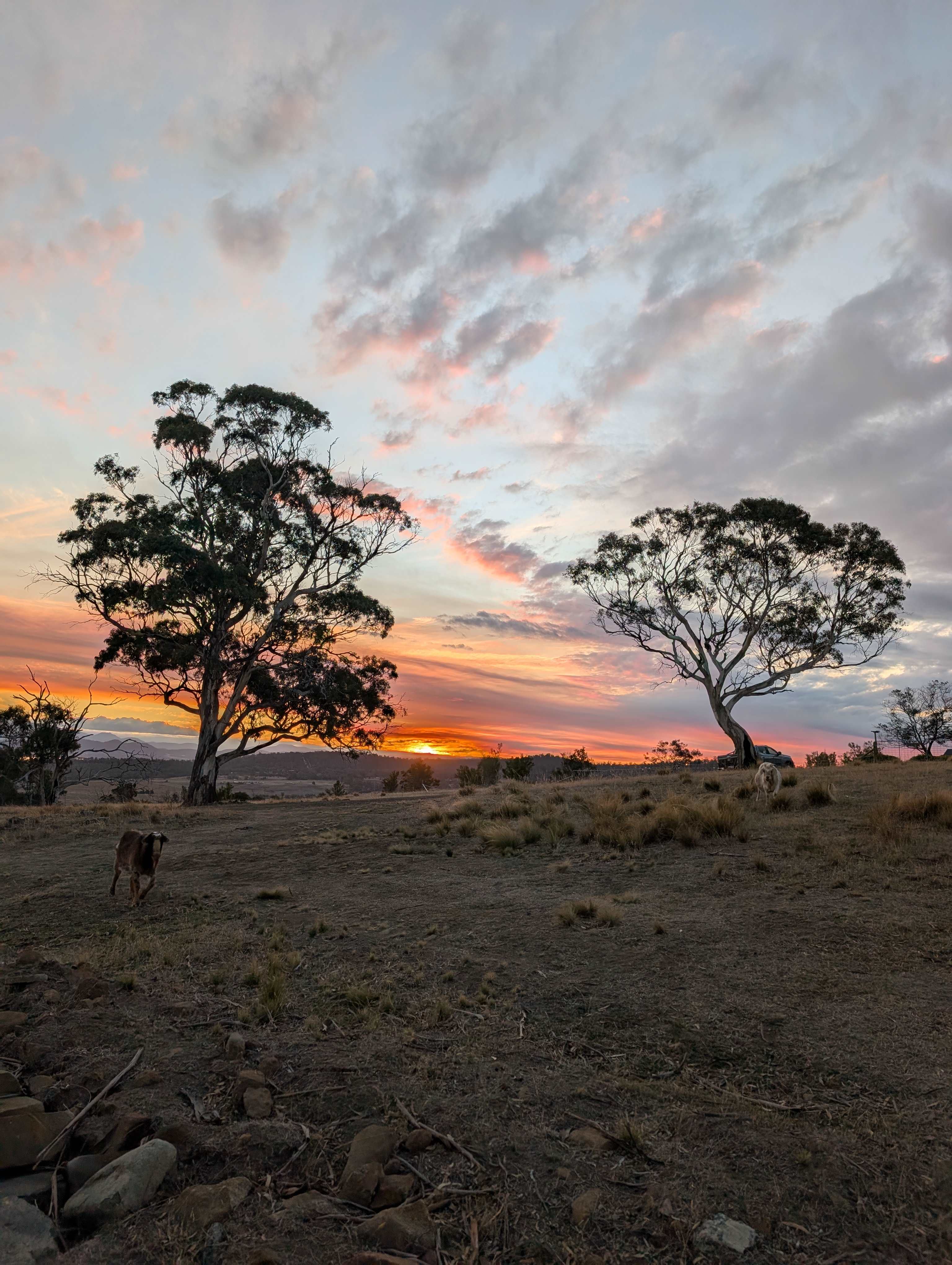 Bomana - Bushland Delight with Breathtaking Views