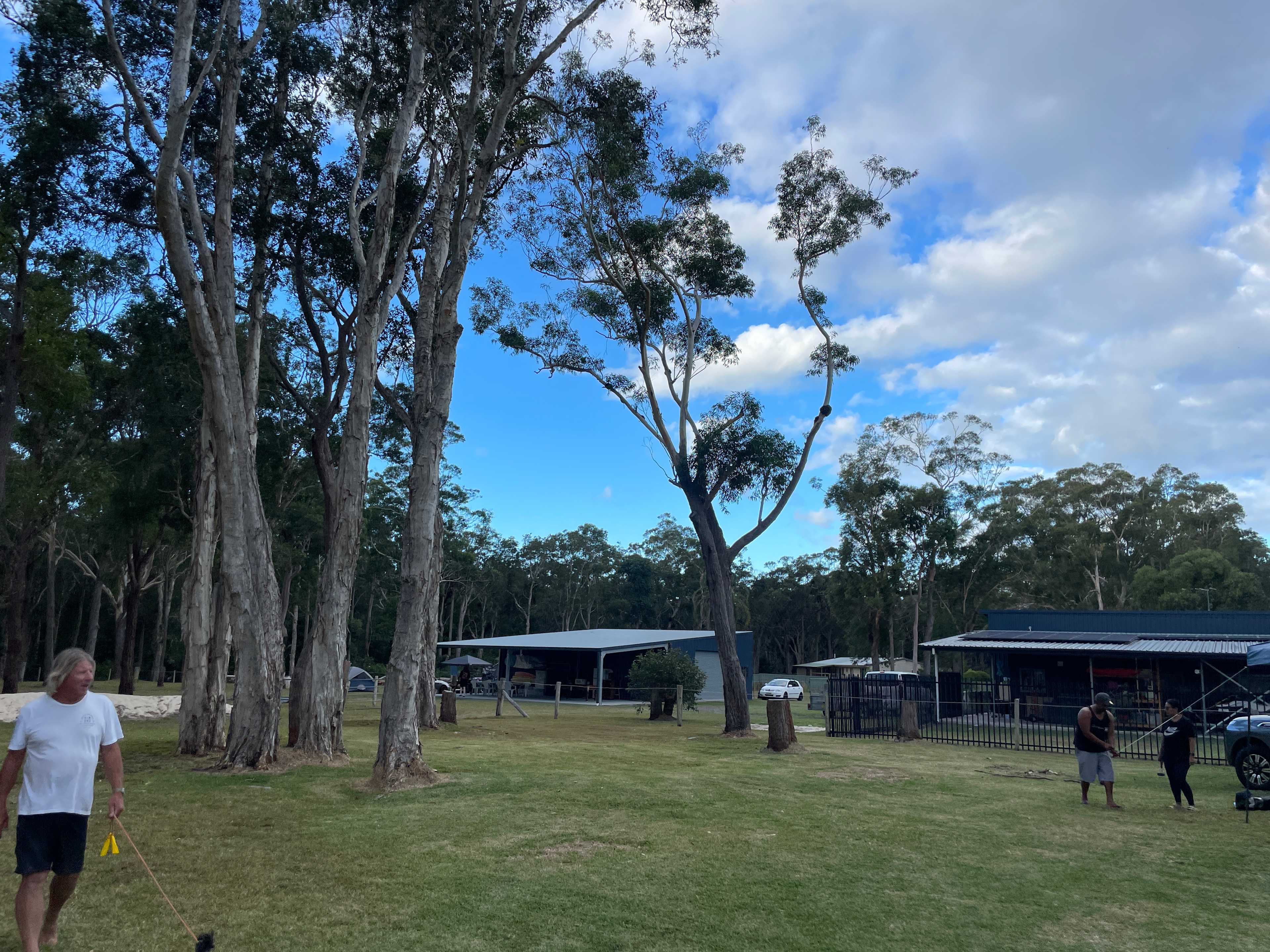 Camellia Retreat