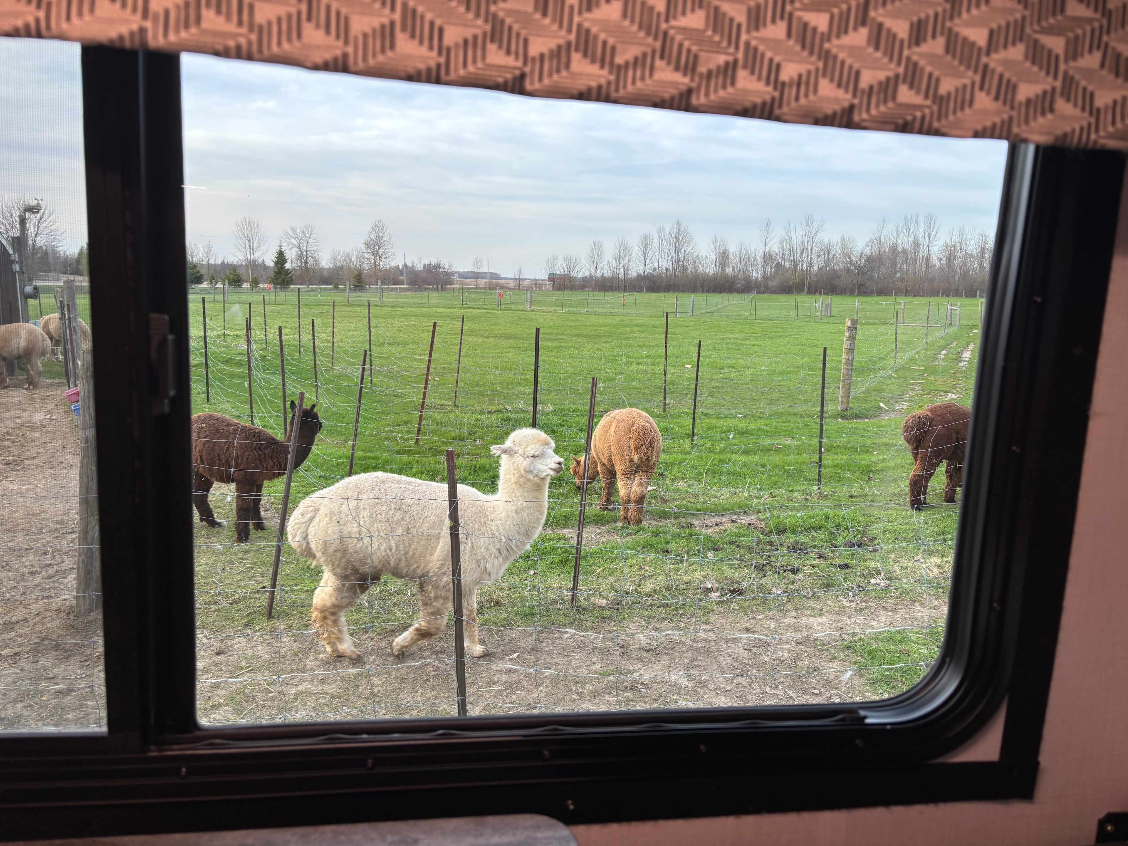 Our view from inside the RV