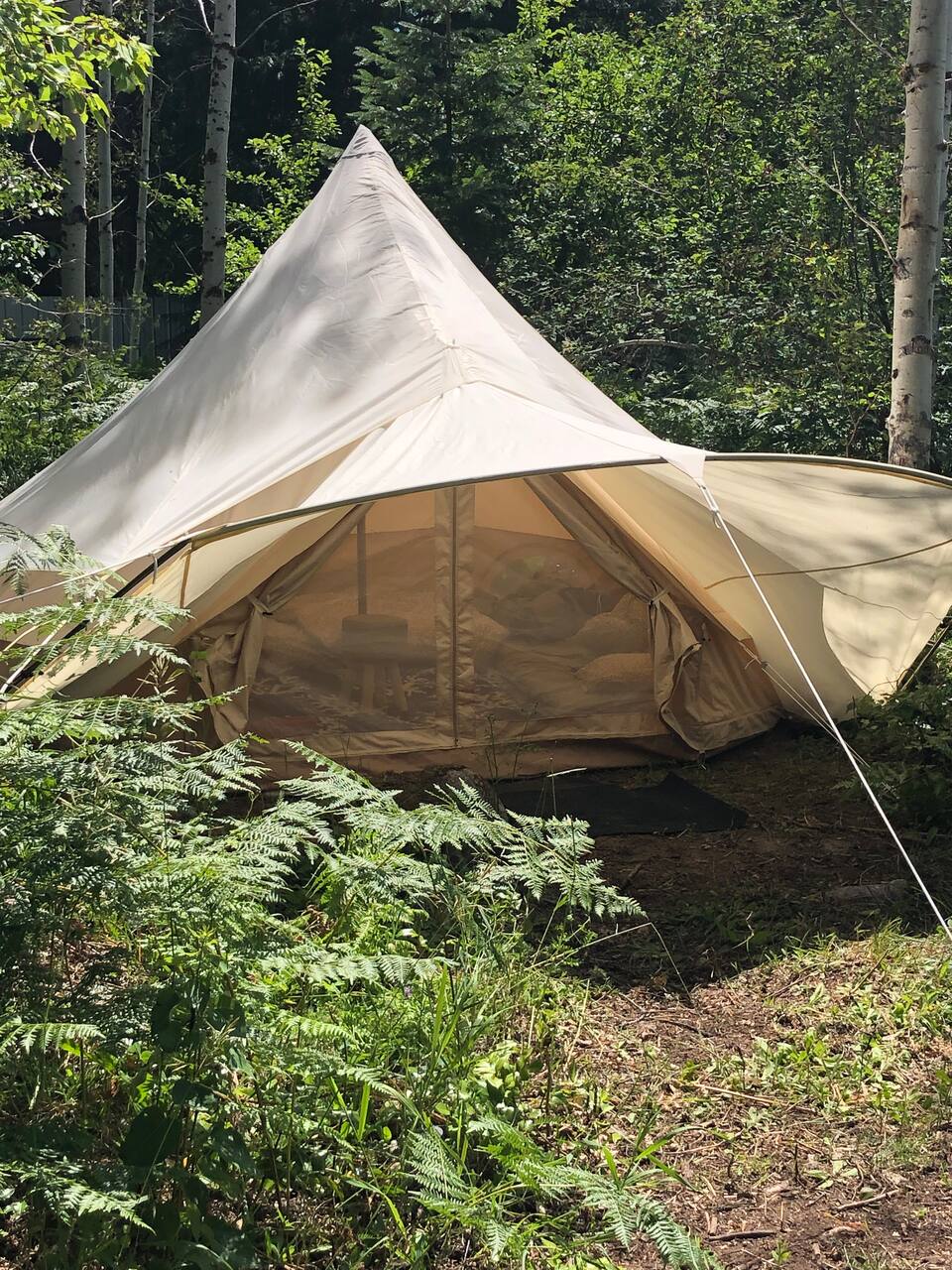 Picture of the site