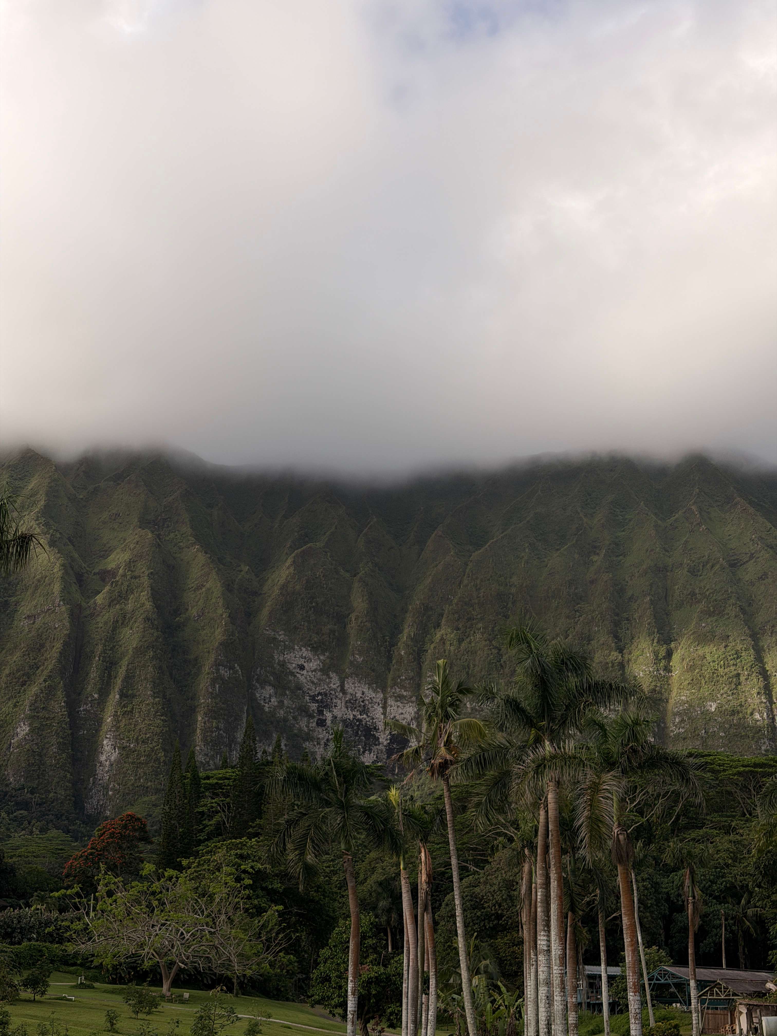 Waimanalo Farmstay