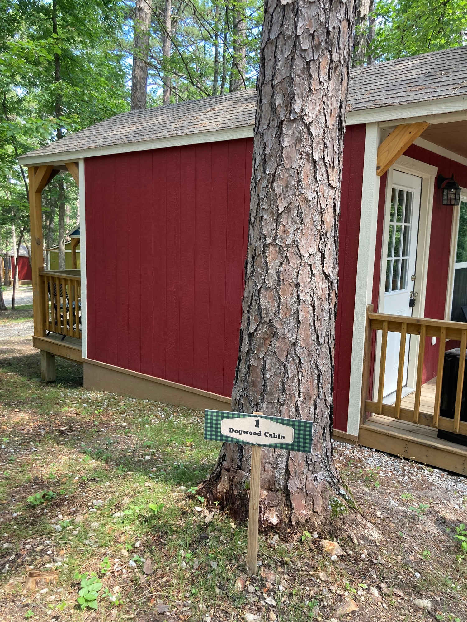 Picture of the site