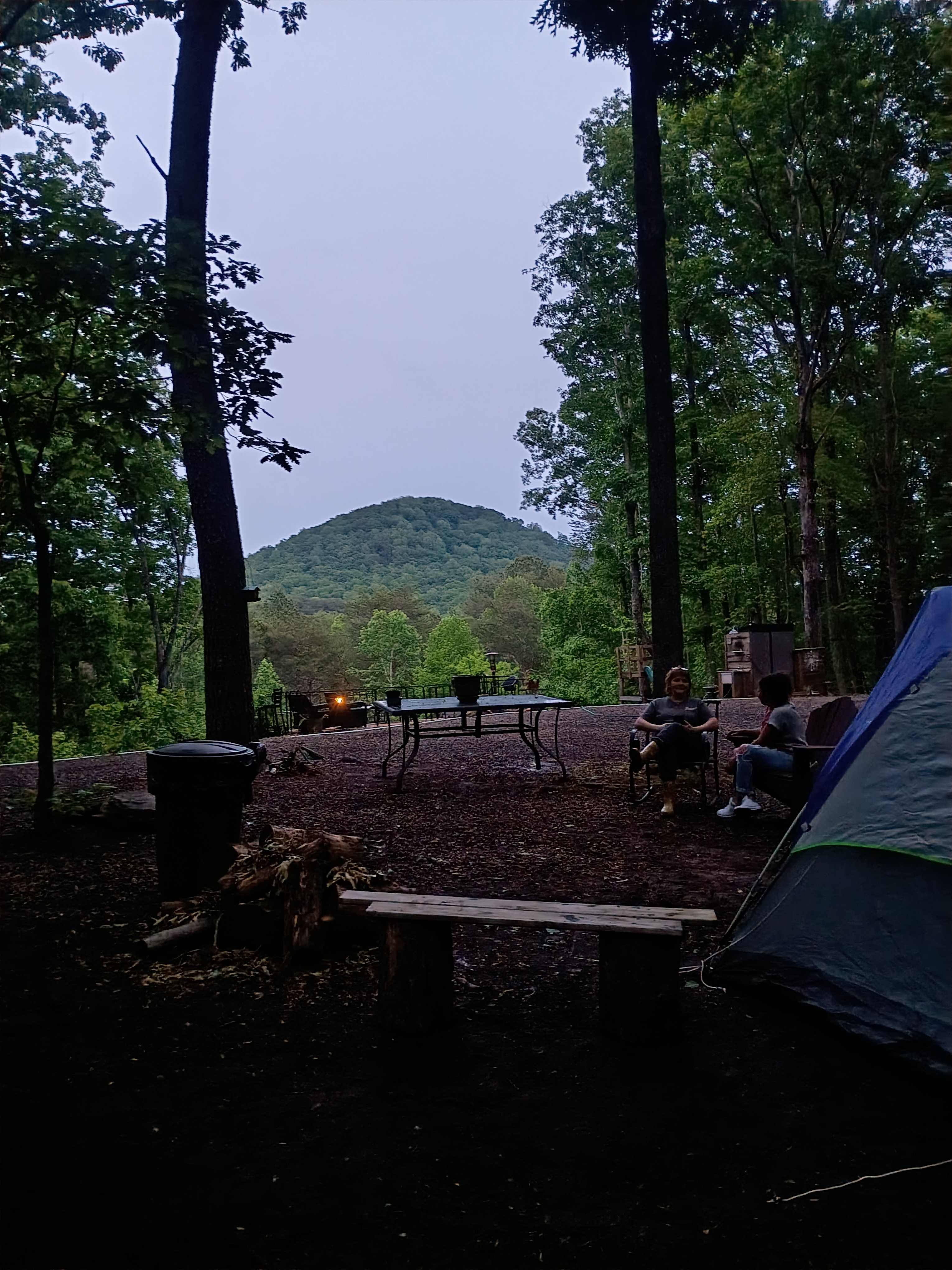 Picture of the site