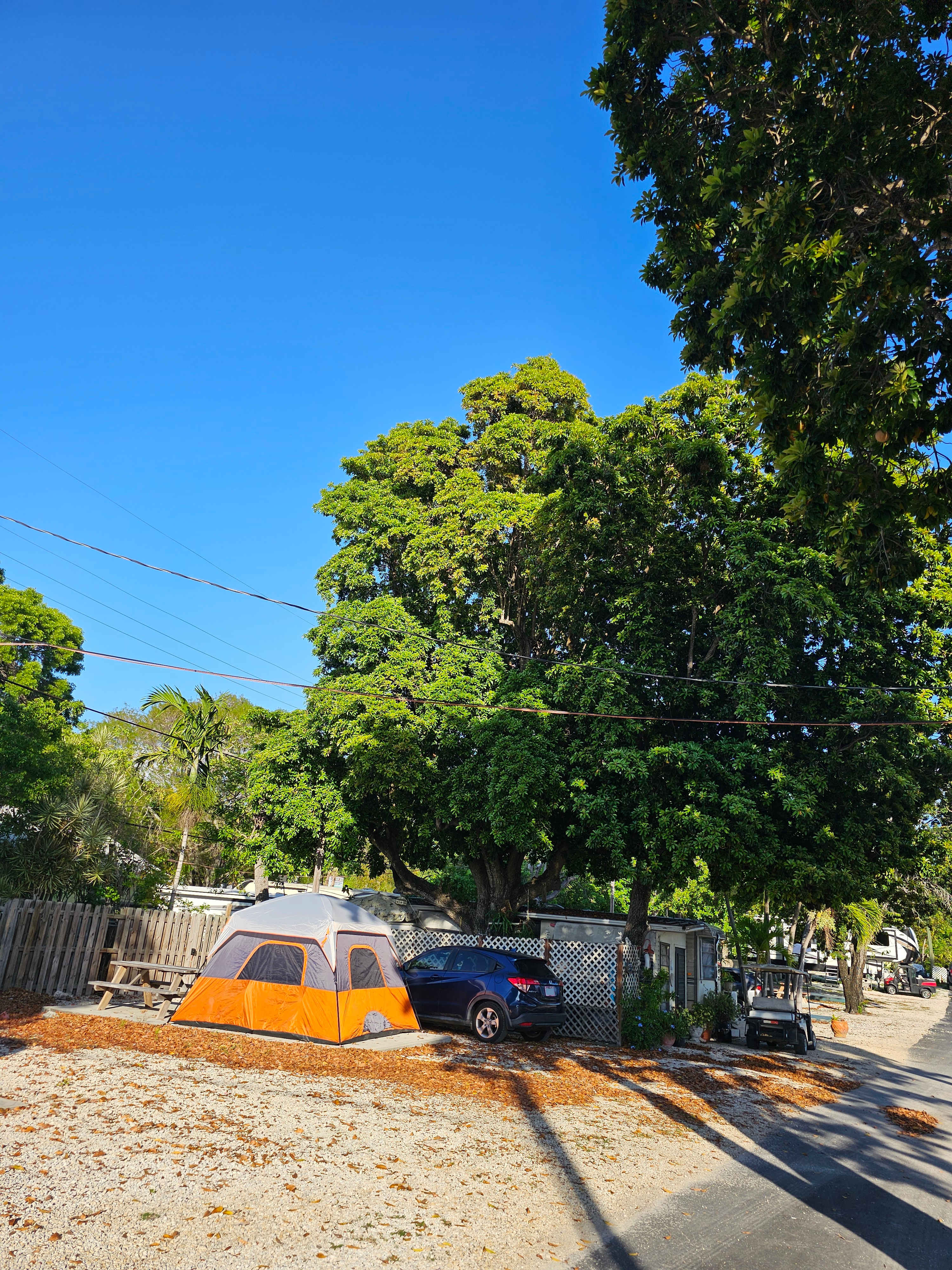 Kings Kamp RV Park and Marina