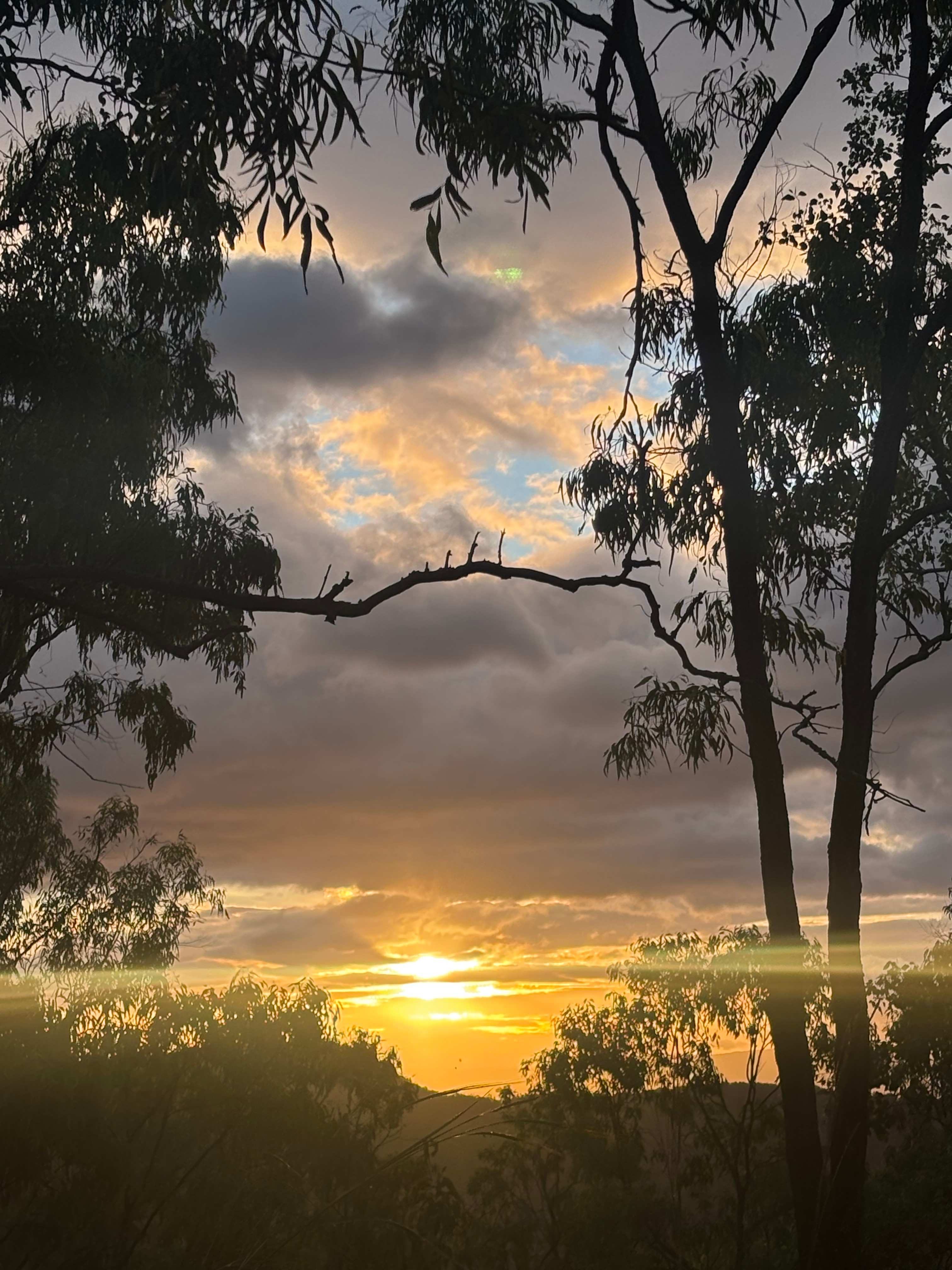 Emerald Escape Camping