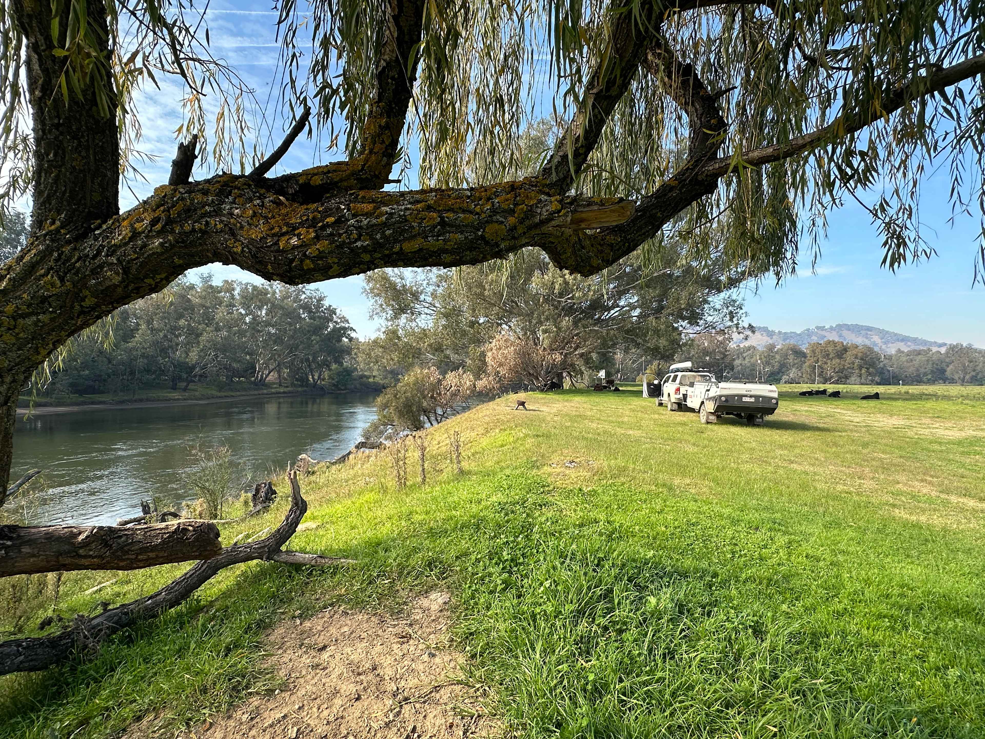 Willowbank on the Murray