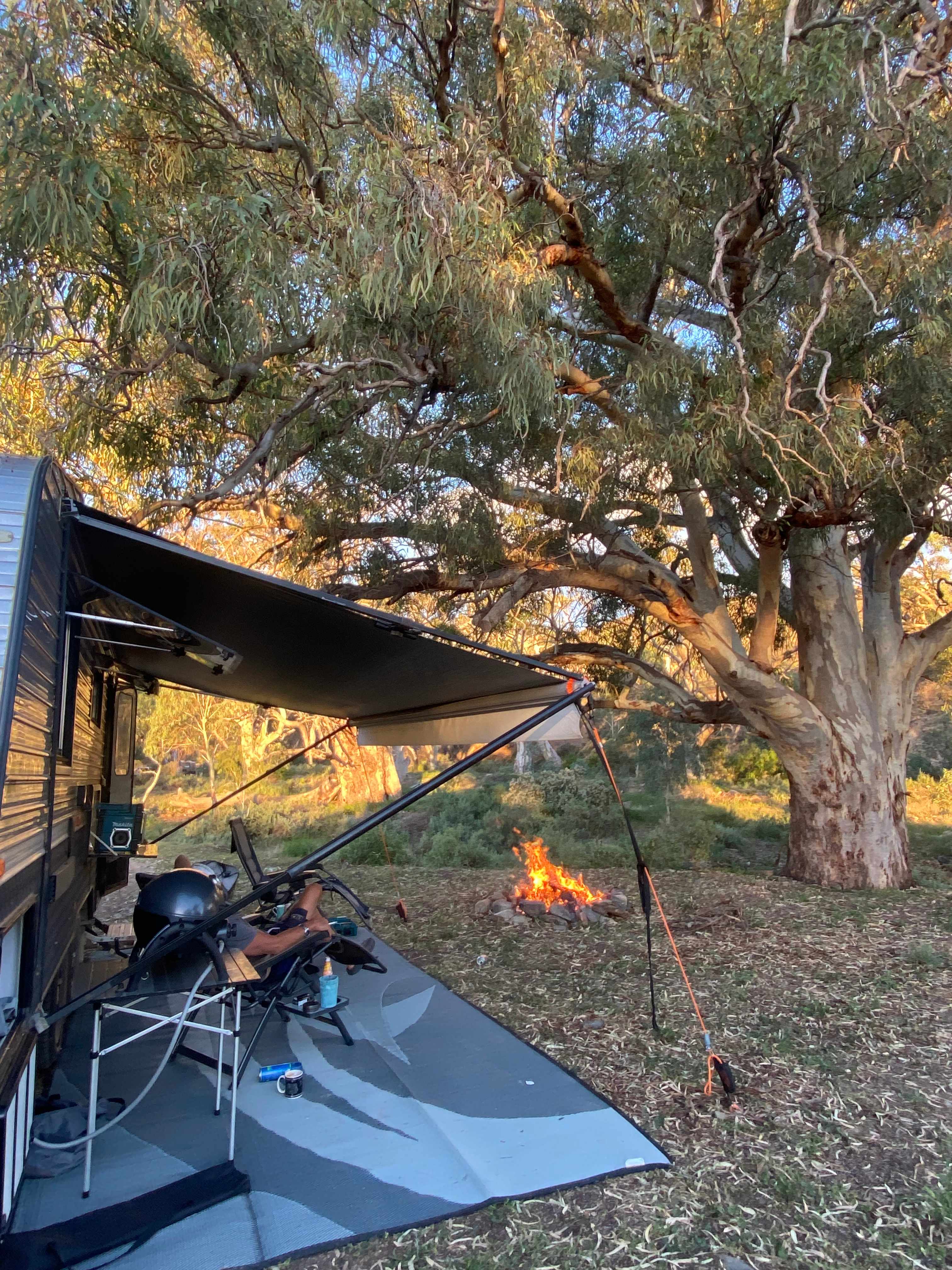 Site set up was great near a beautiful old gum. 