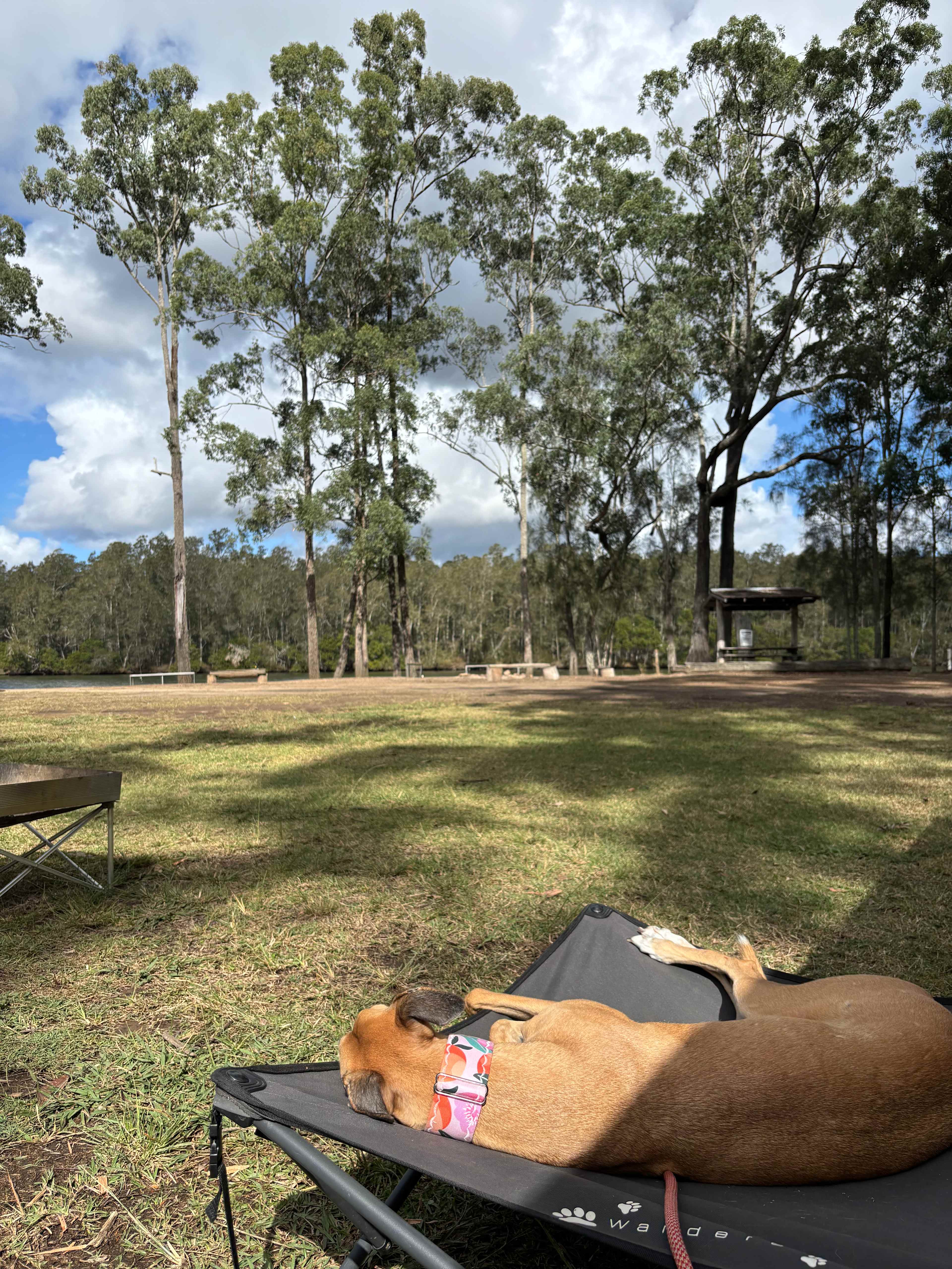 Minimbah Fishing Lodge River Camp