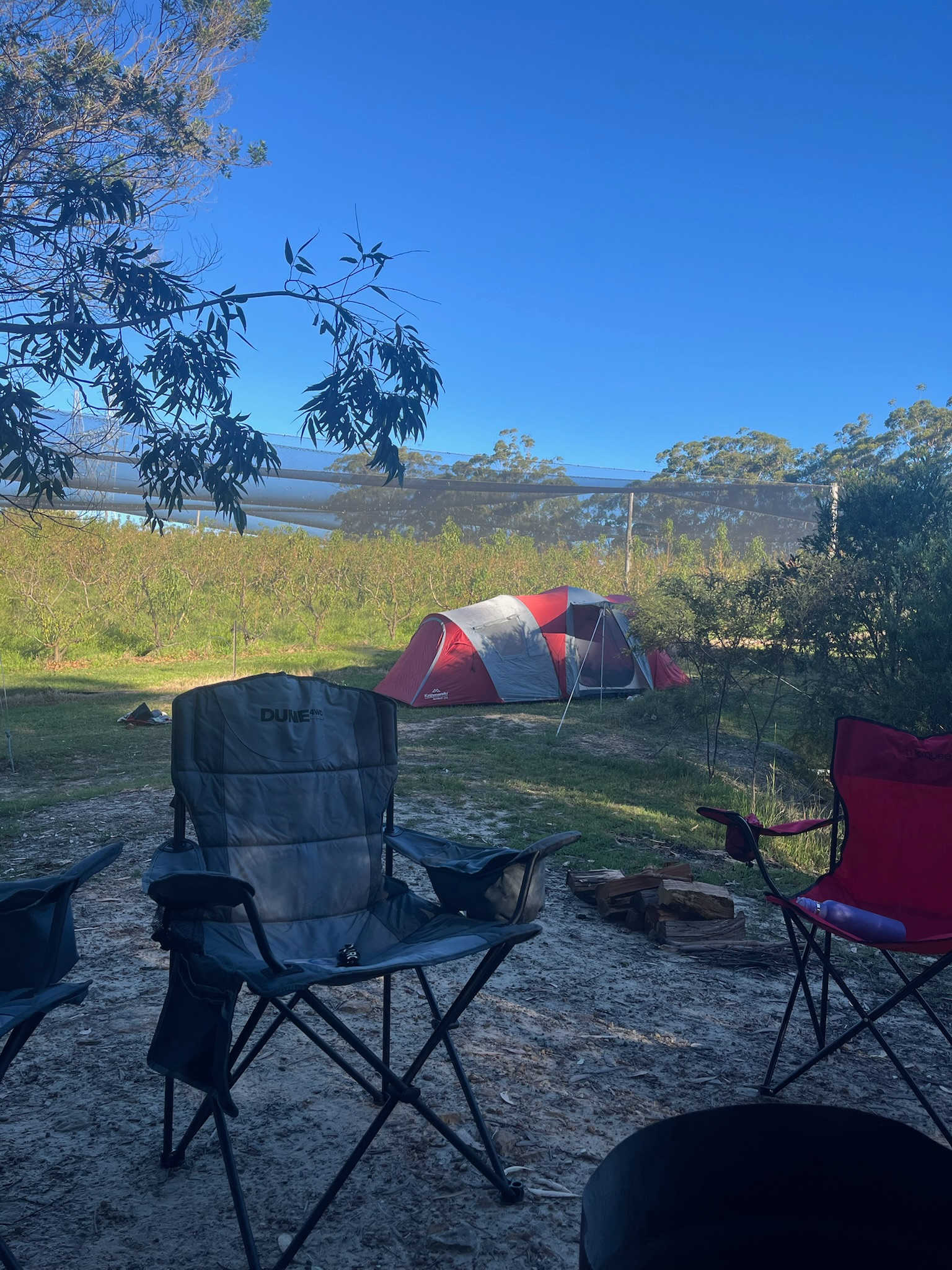 Canoelands Orchard Camping