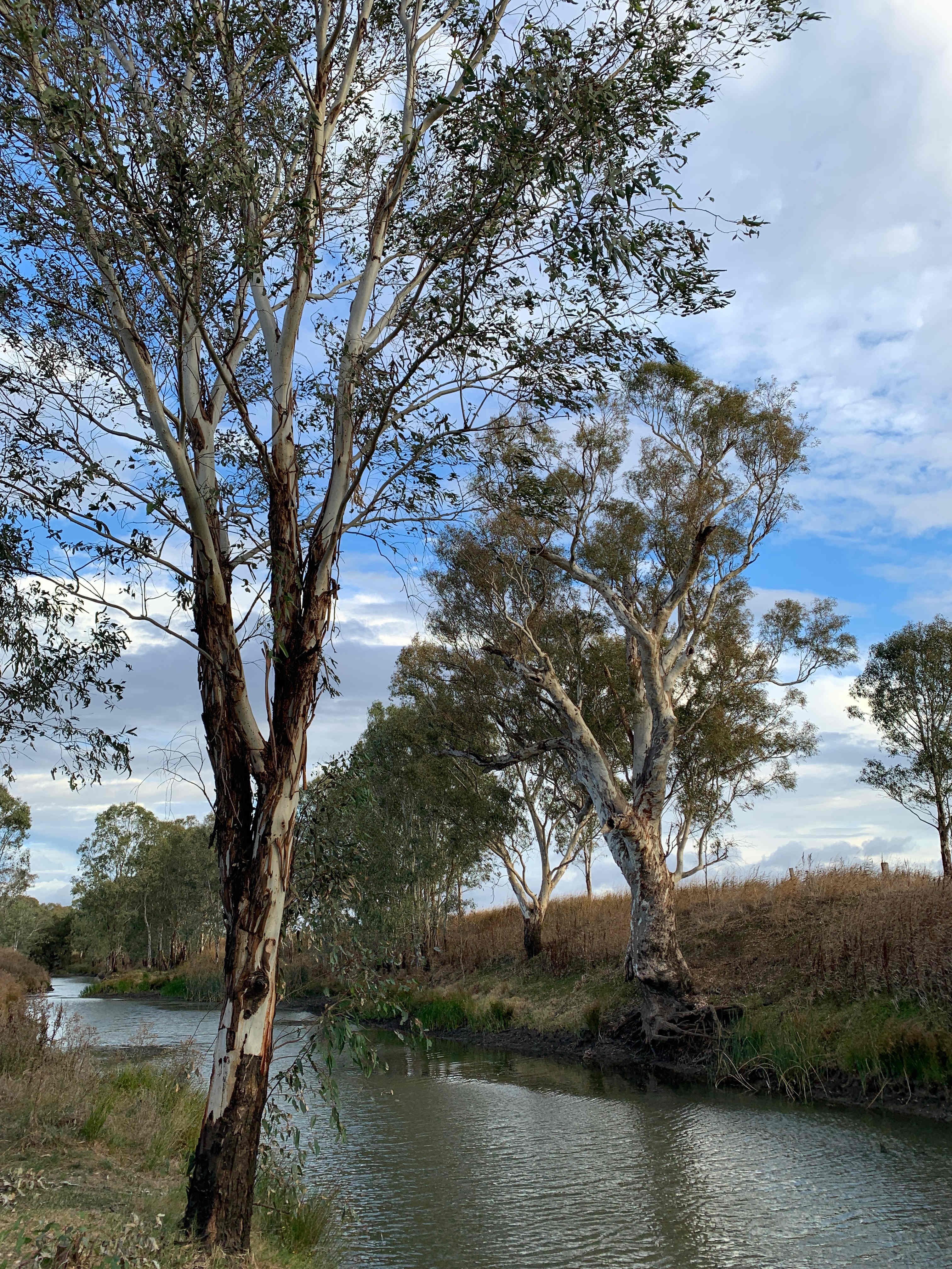 River view