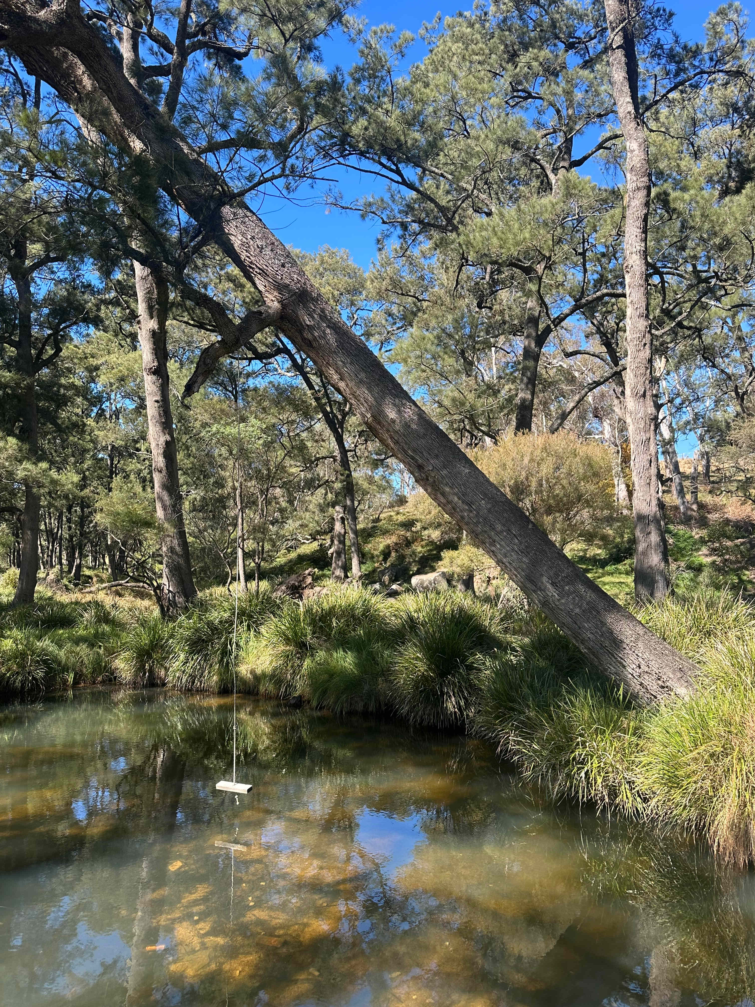 Glenroy Cottages and Camping