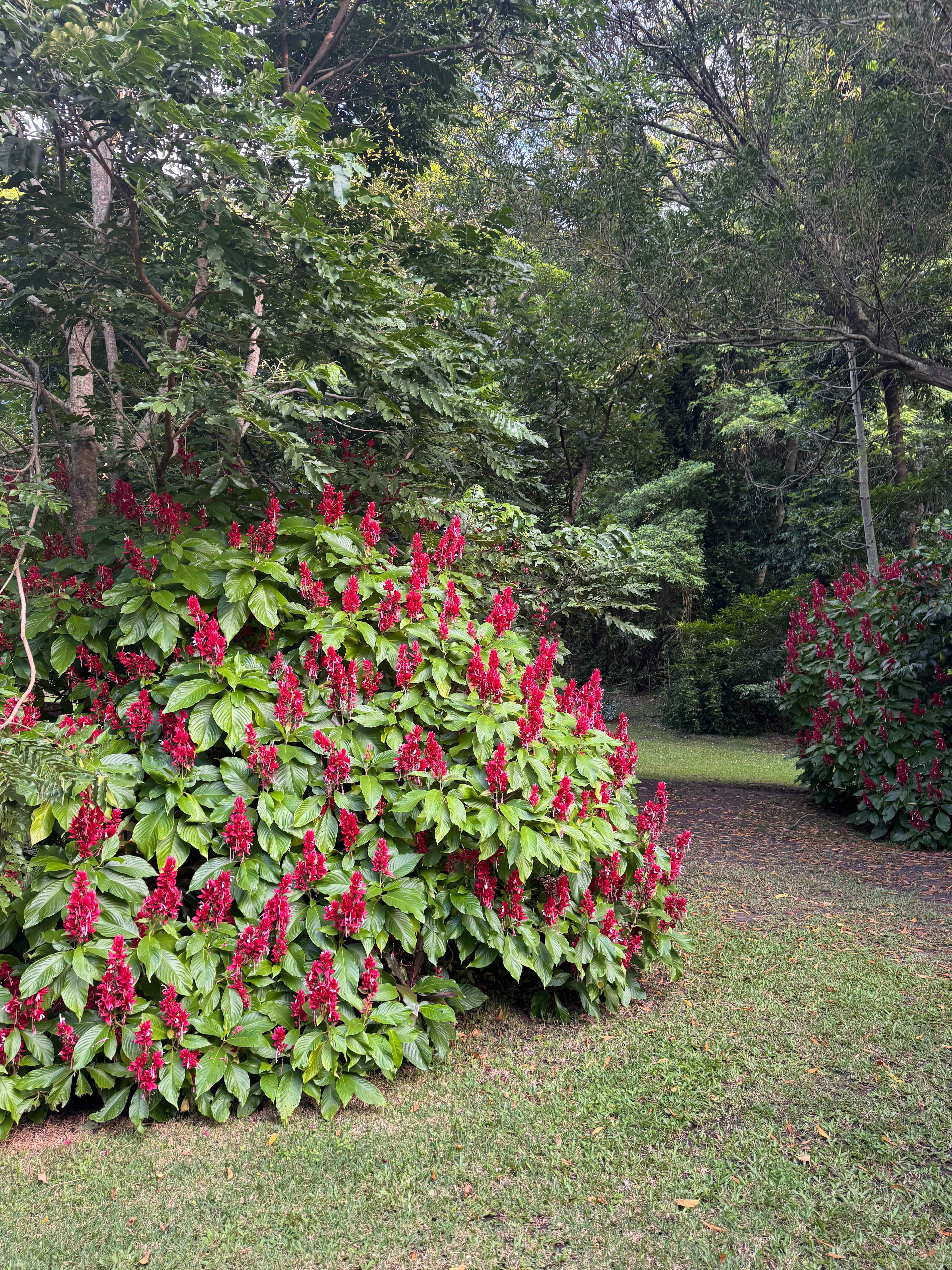 Forest Fields Campstay