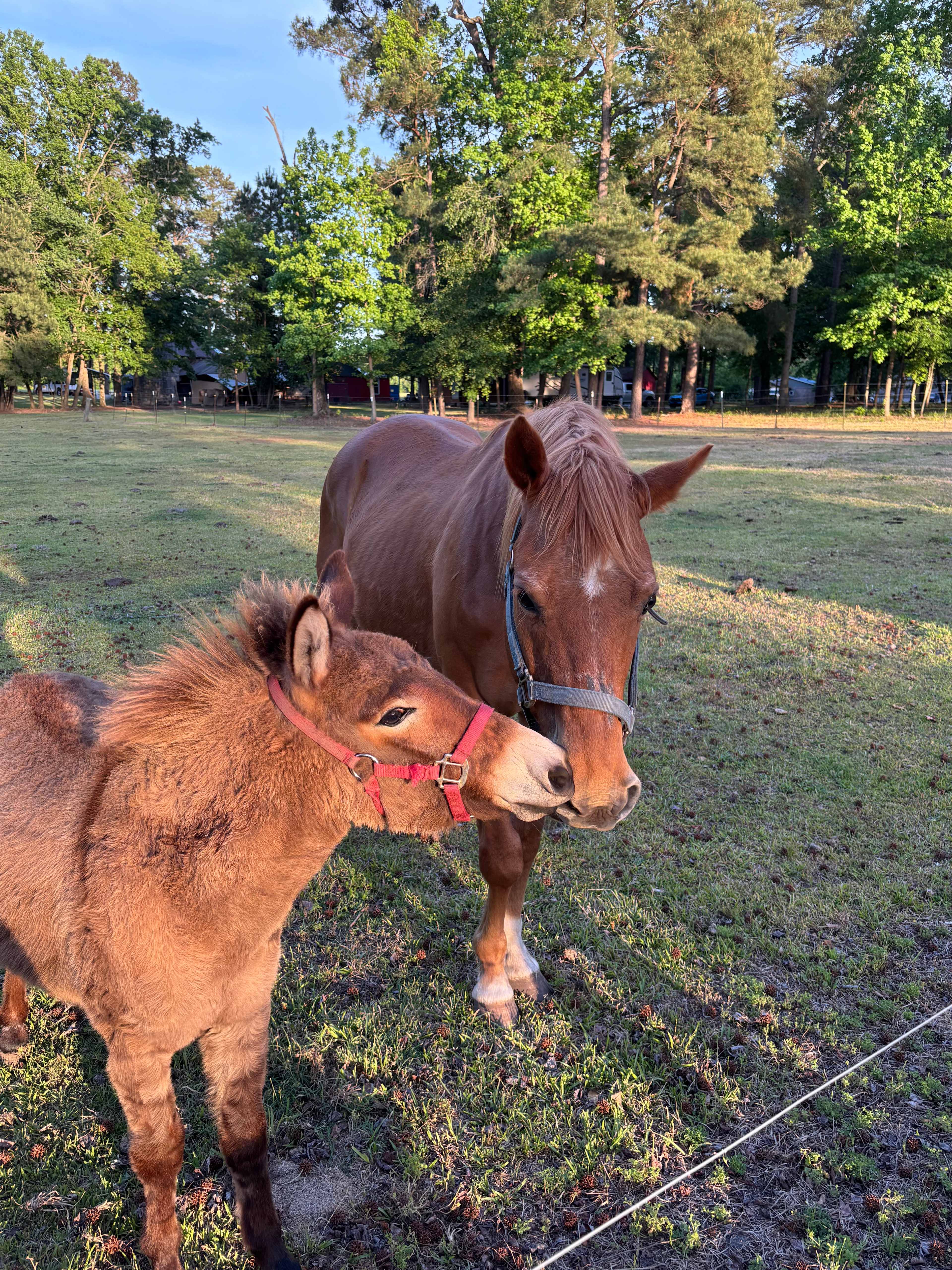 Double L Farms RV Park, LLC
