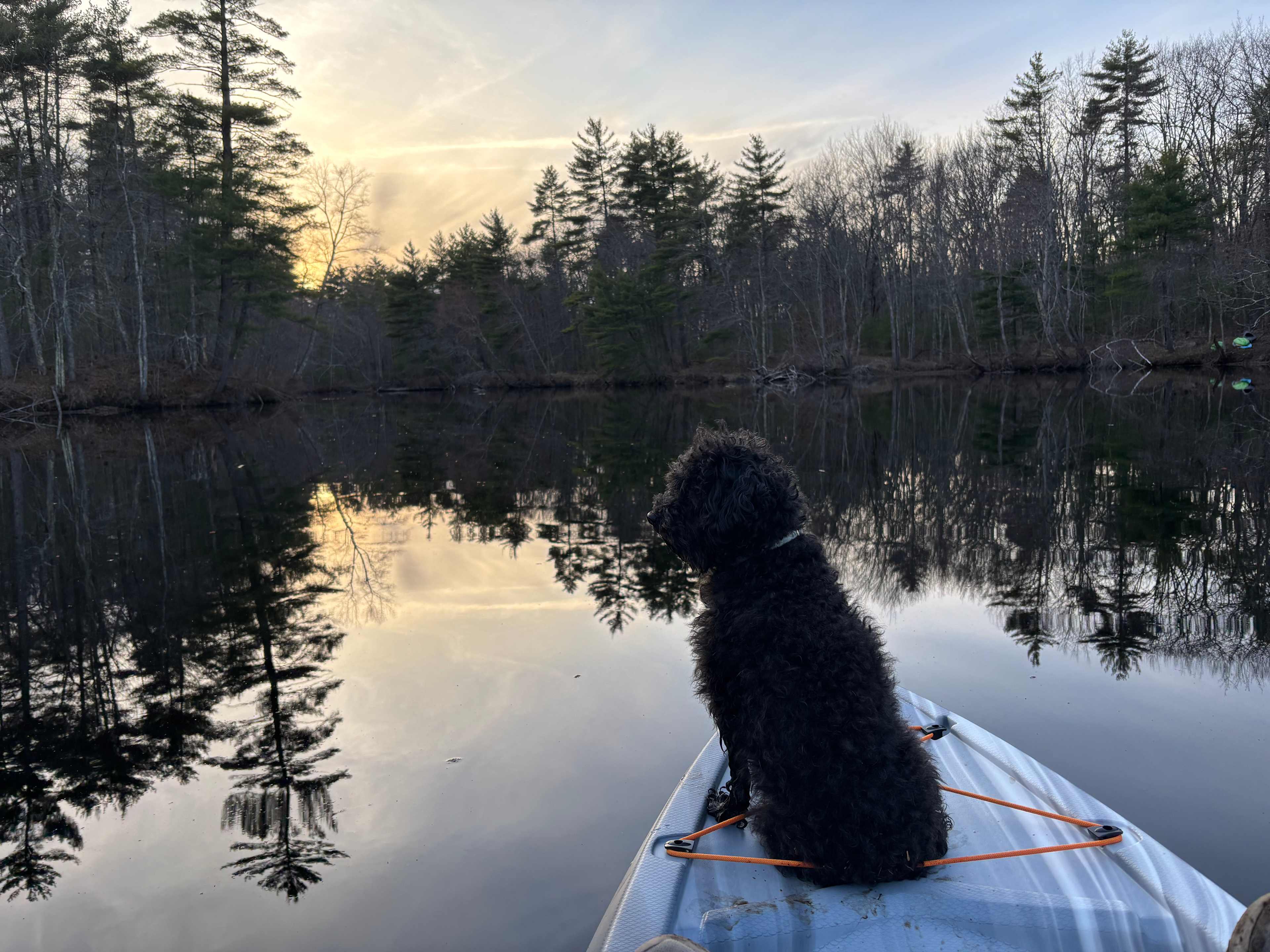 River View Campsite Escape
